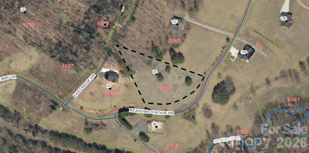 91 Meadows Station Drive Property Photo 2