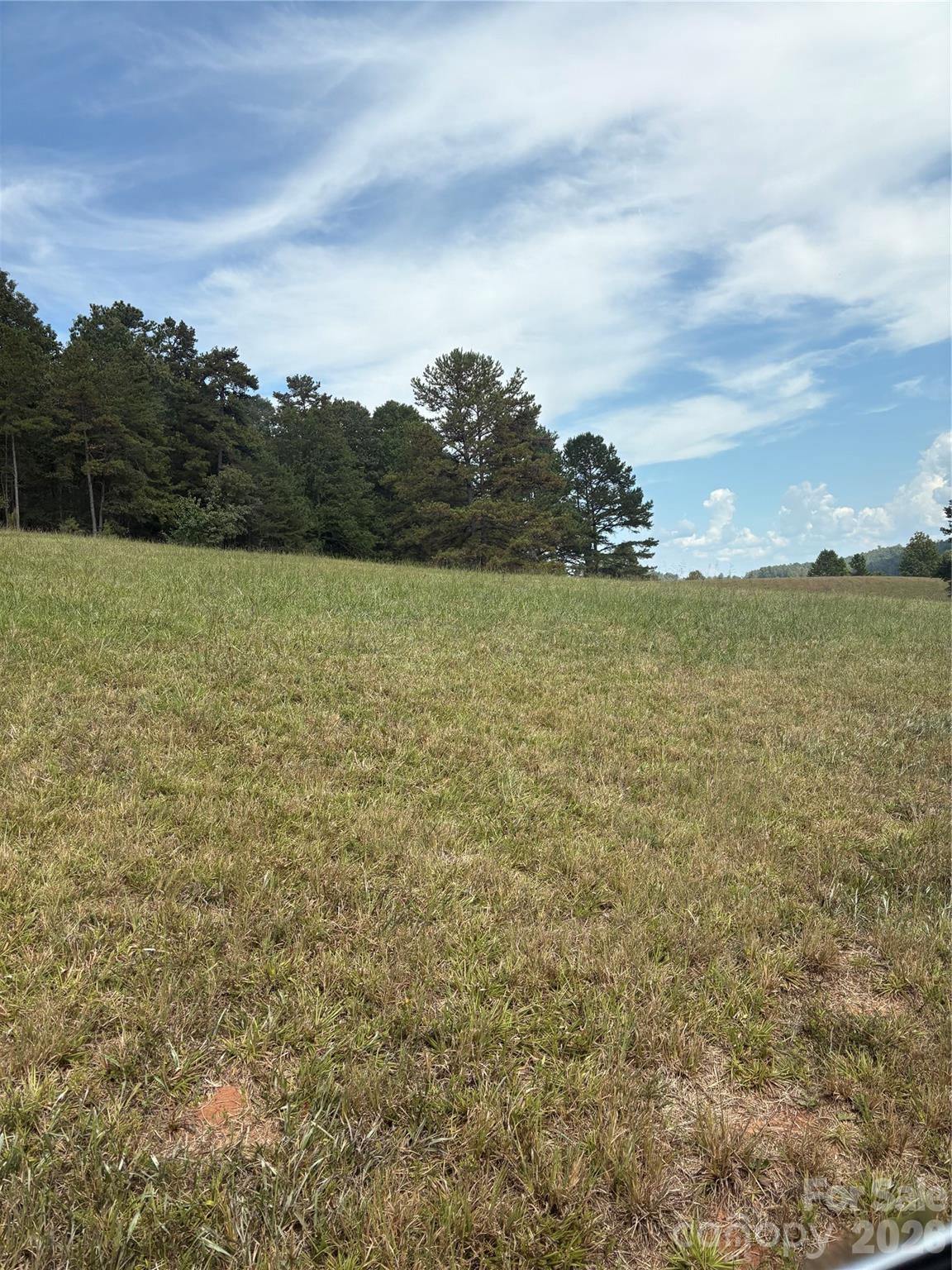 91 Meadows Station Drive Property Photo 4