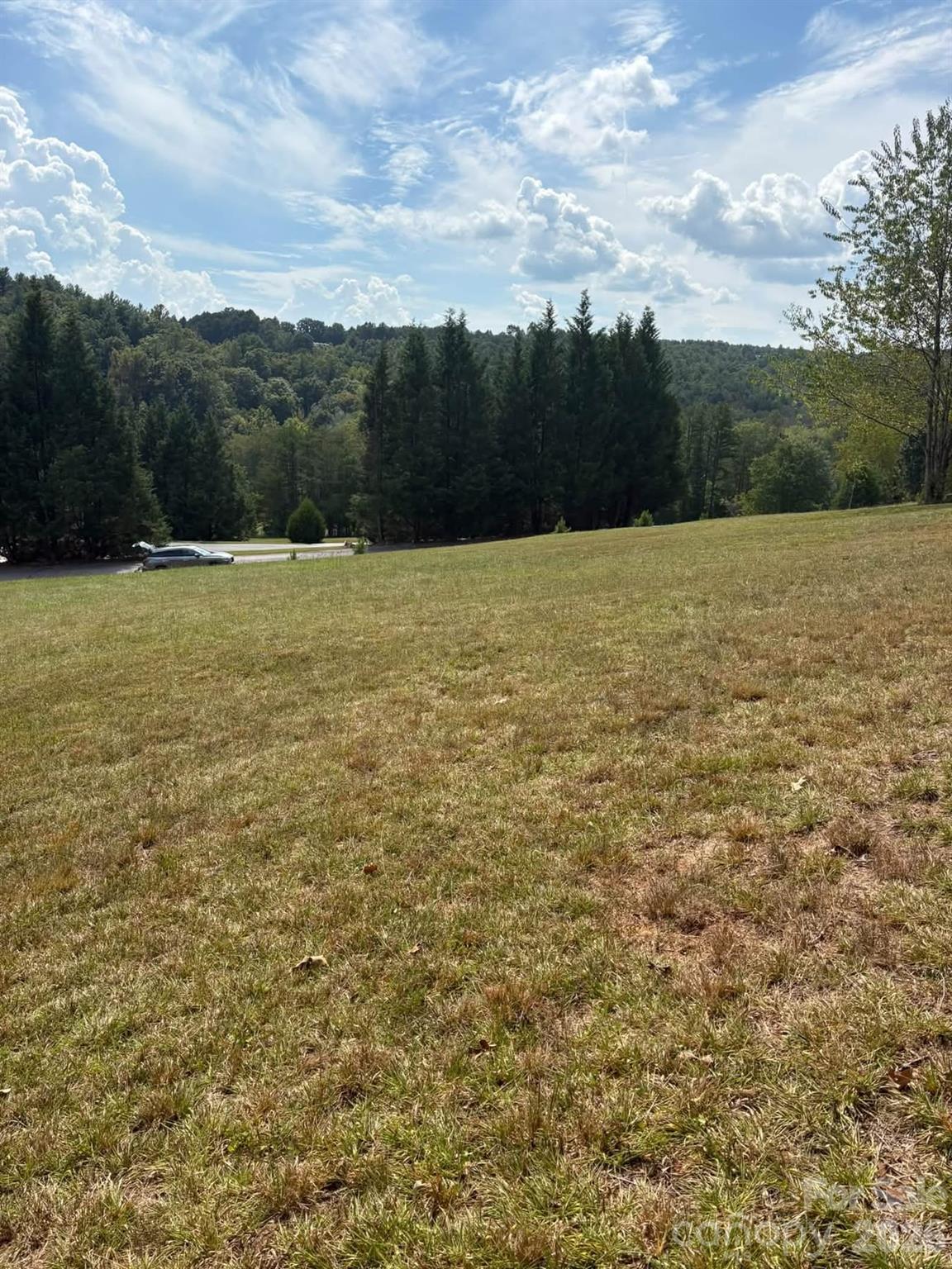91 Meadows Station Drive Property Photo 8