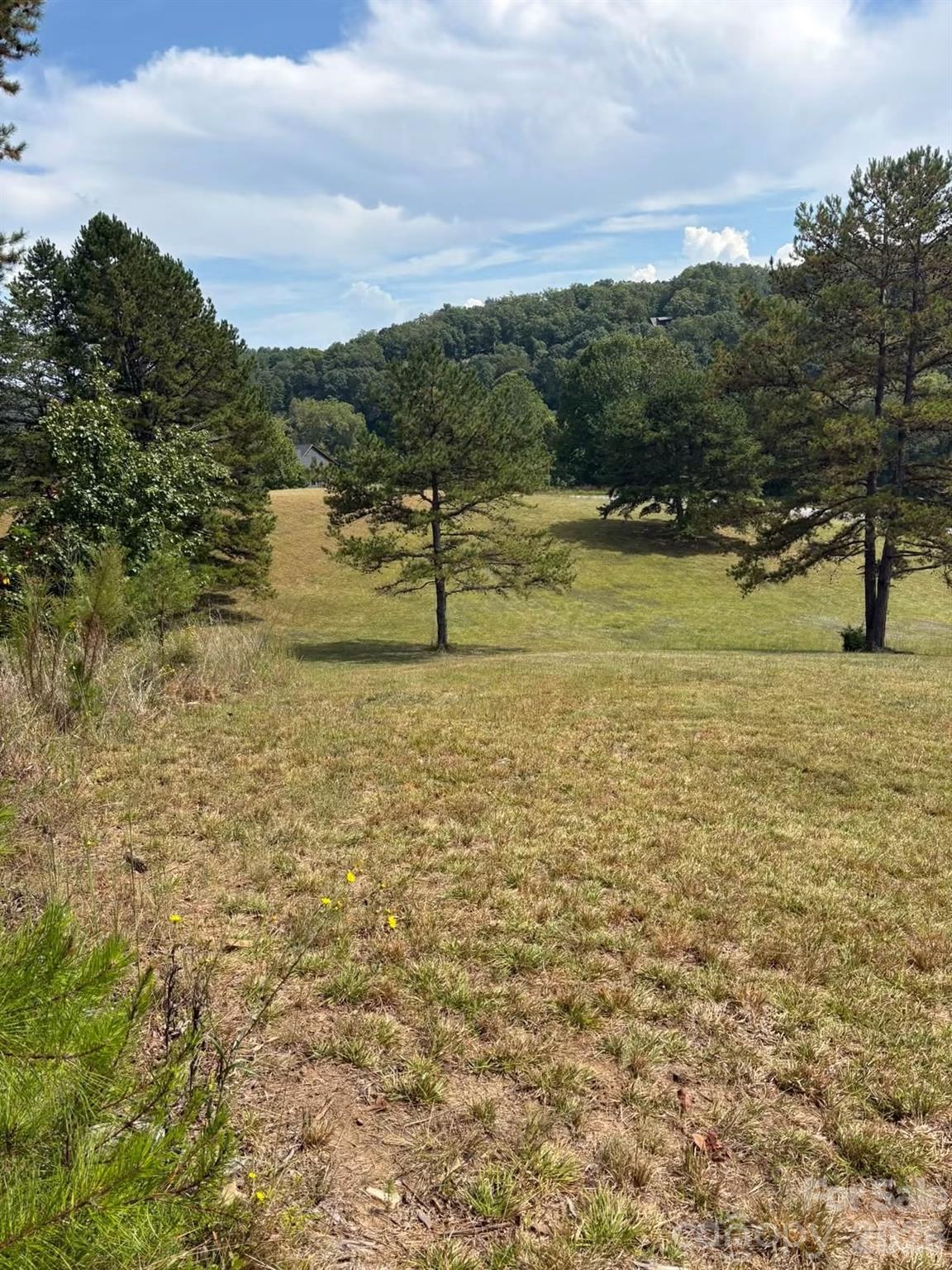 91 Meadows Station Drive Property Photo 11