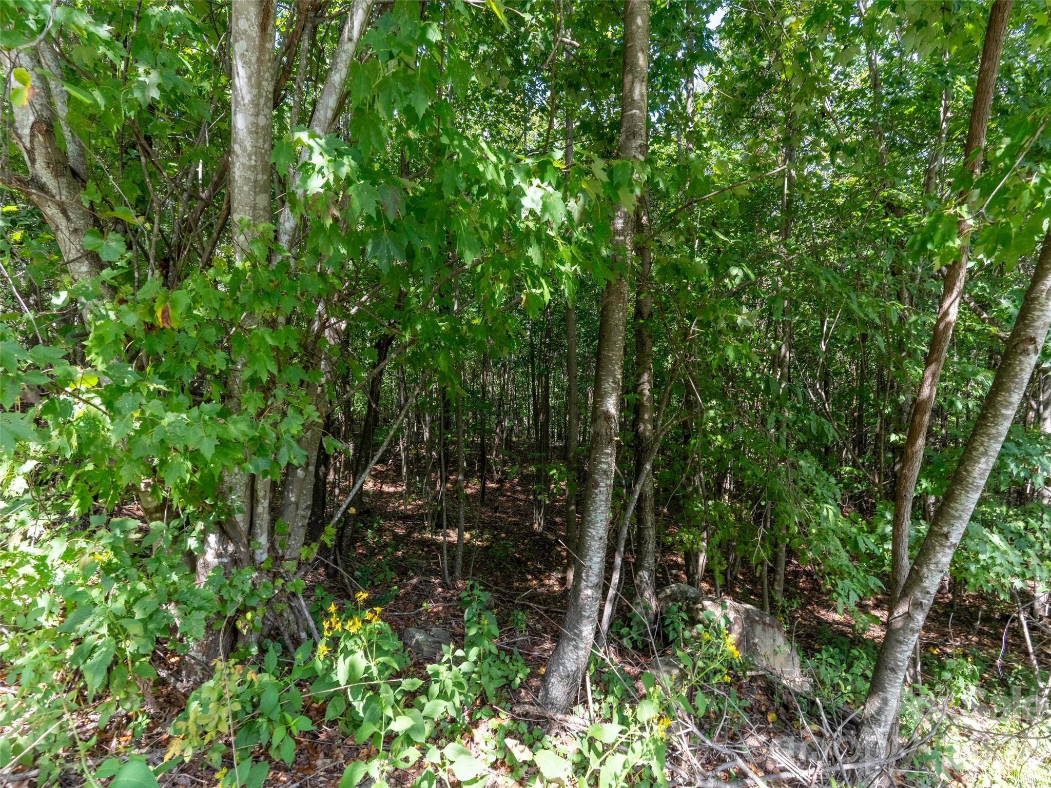 0 Deep Gap Farm Road 2040 Property Photo 2