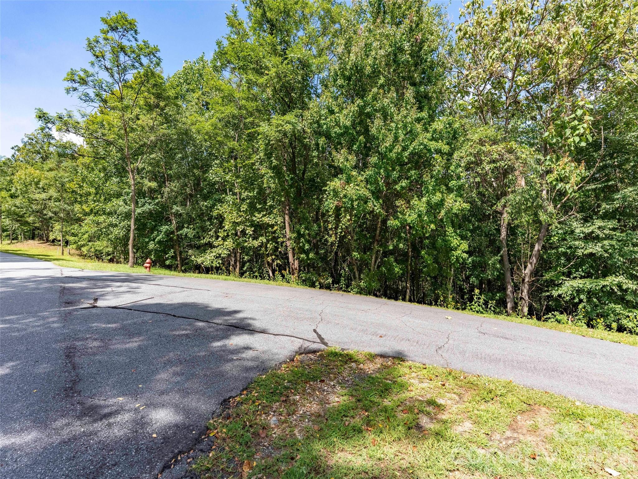 0 Deep Gap Farm Road 2040 Property Photo 3
