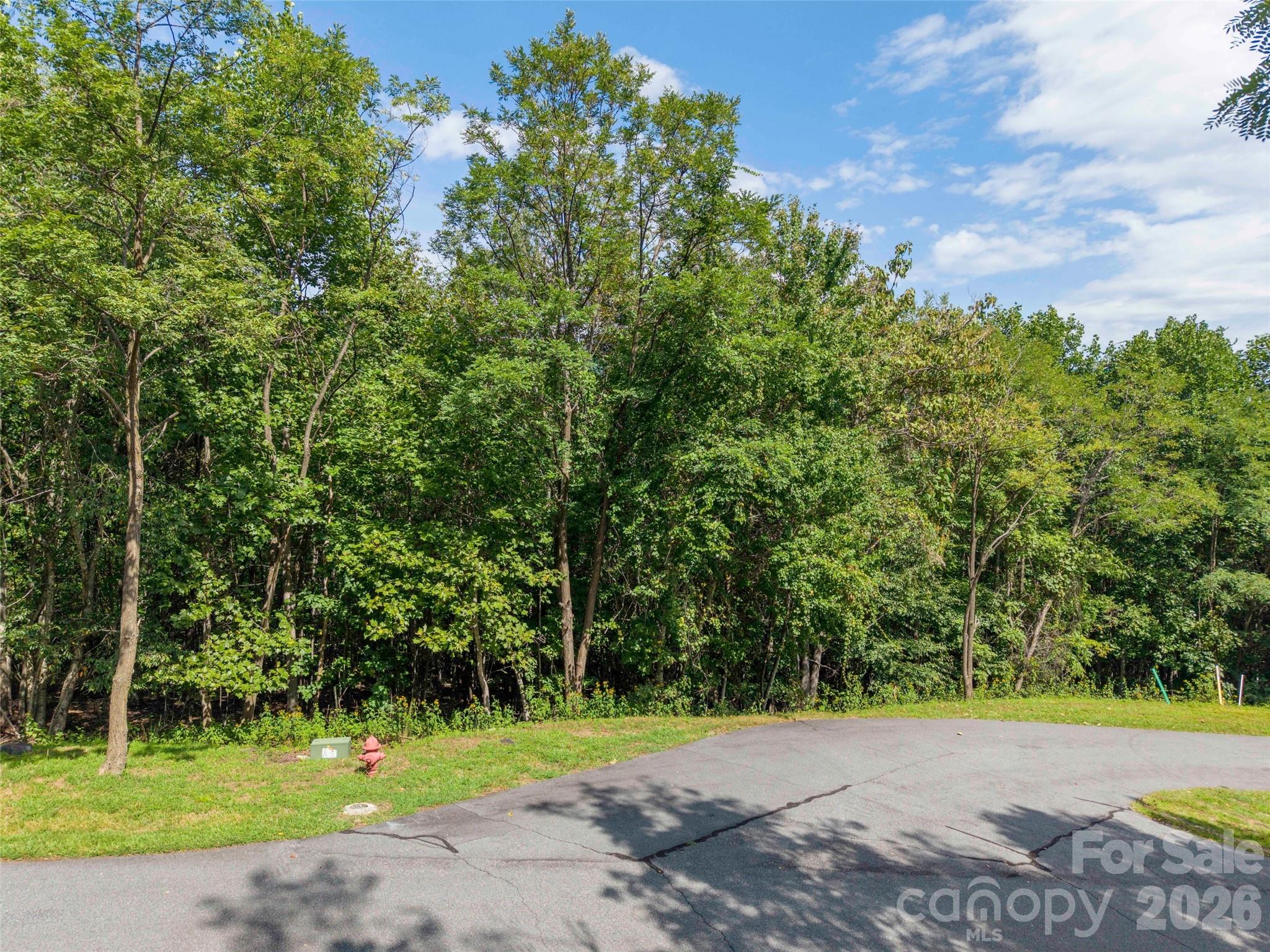 0 Deep Gap Farm Road 2040 Property Photo 4