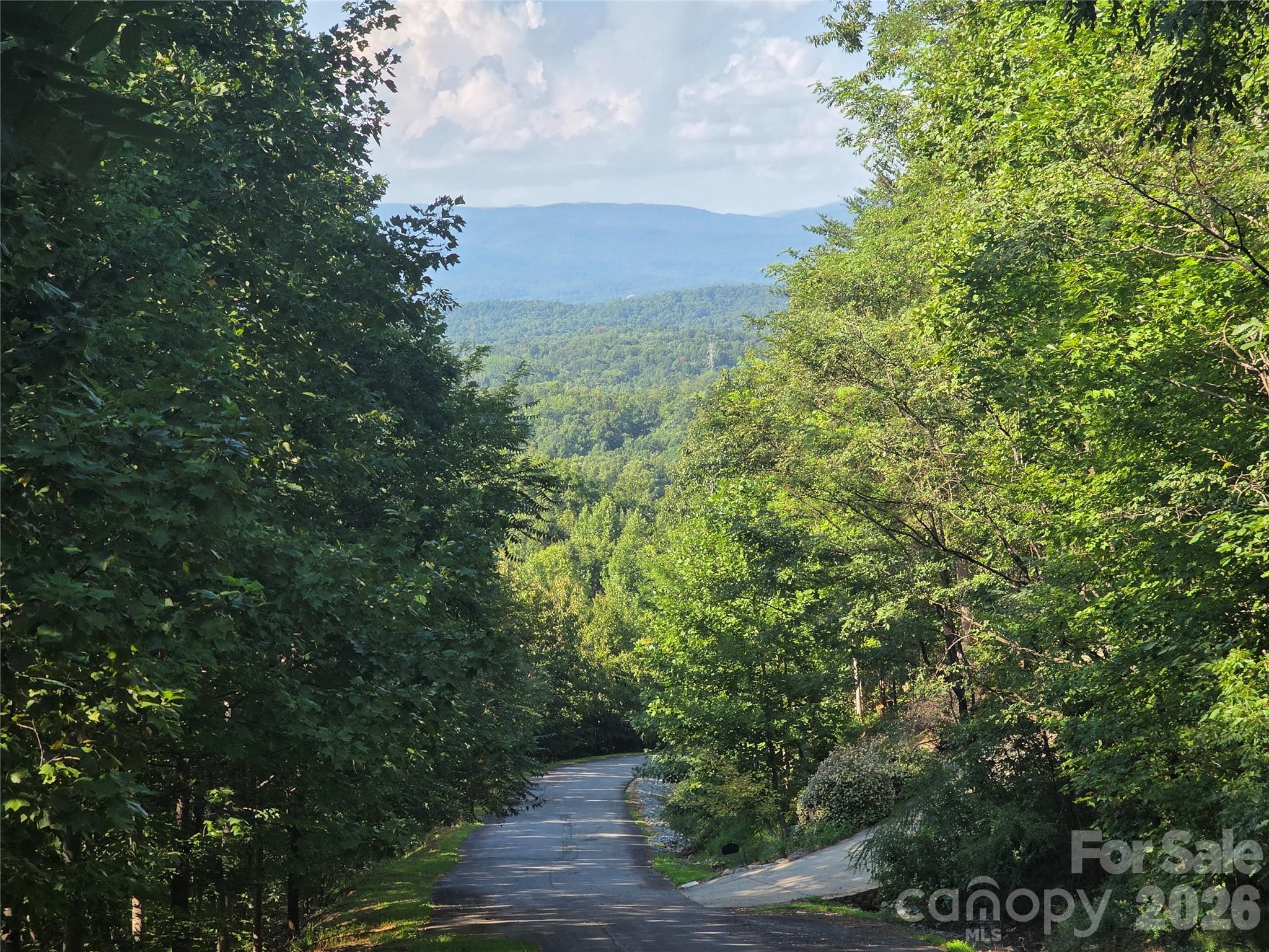 Lot 149 Big View Drive Property Photo 5
