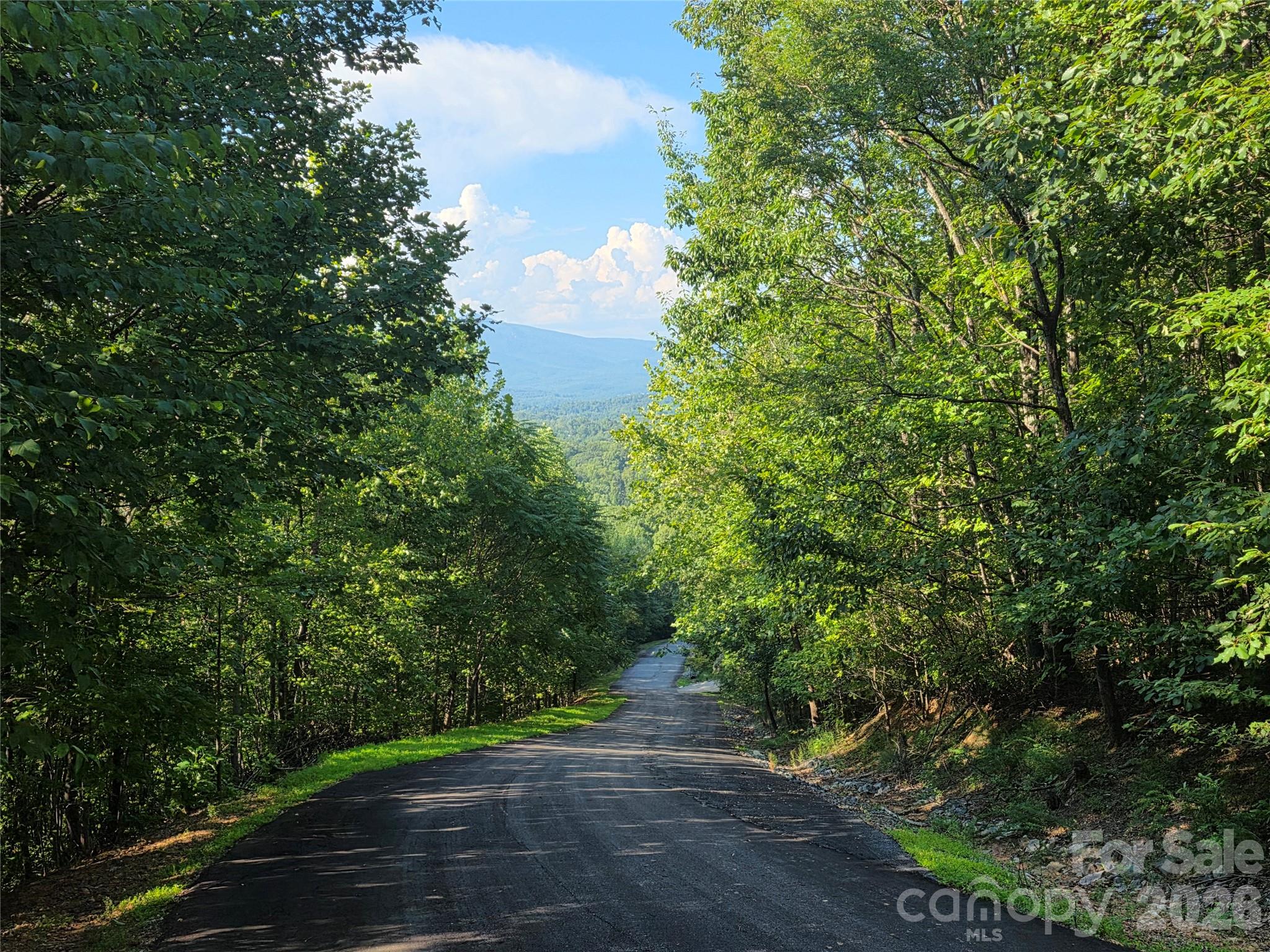 Lot 149 Big View Drive Property Photo 6