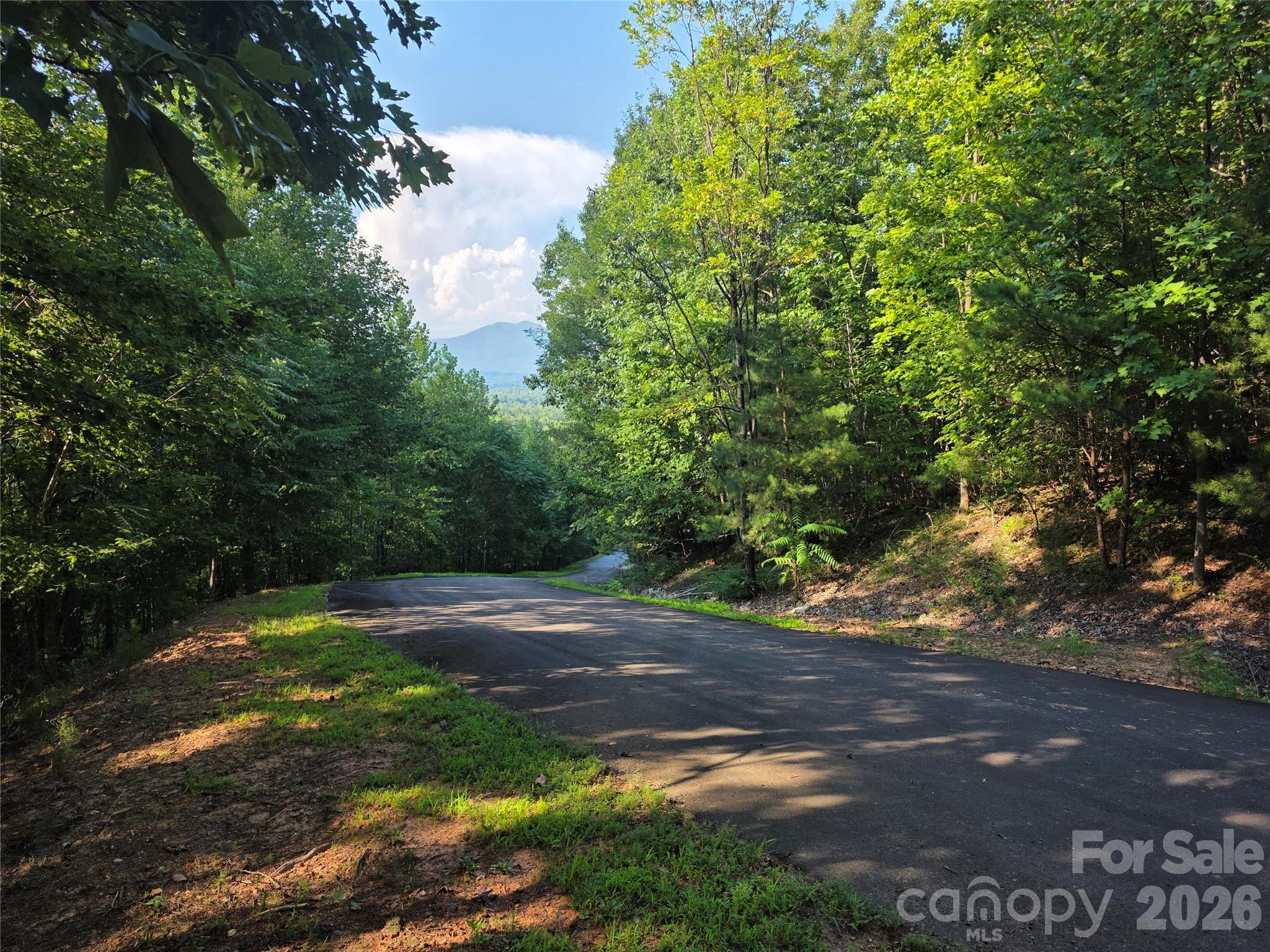 Lot 149 Big View Drive Property Photo 8