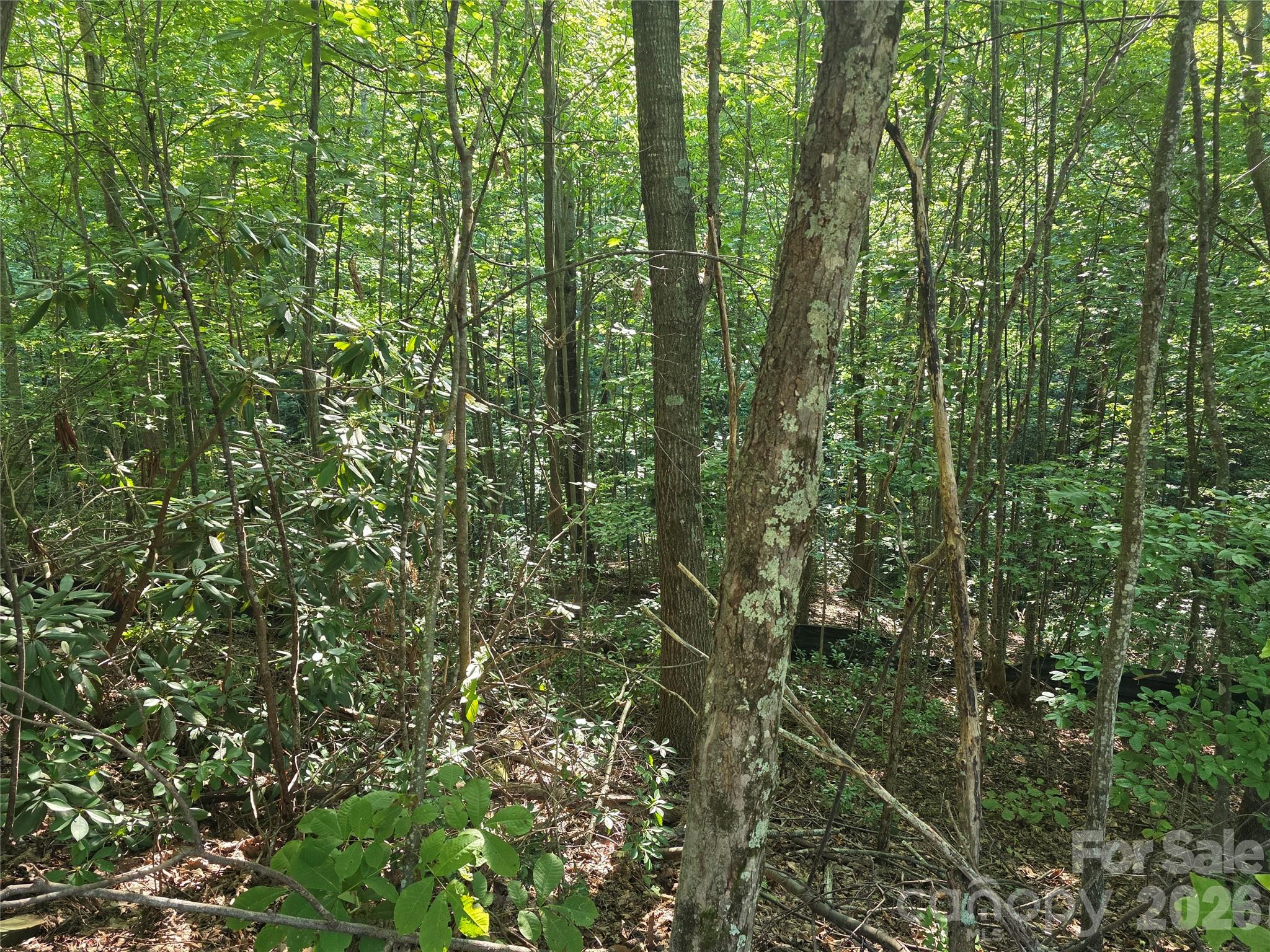 Lot 149 Big View Drive Property Photo 9