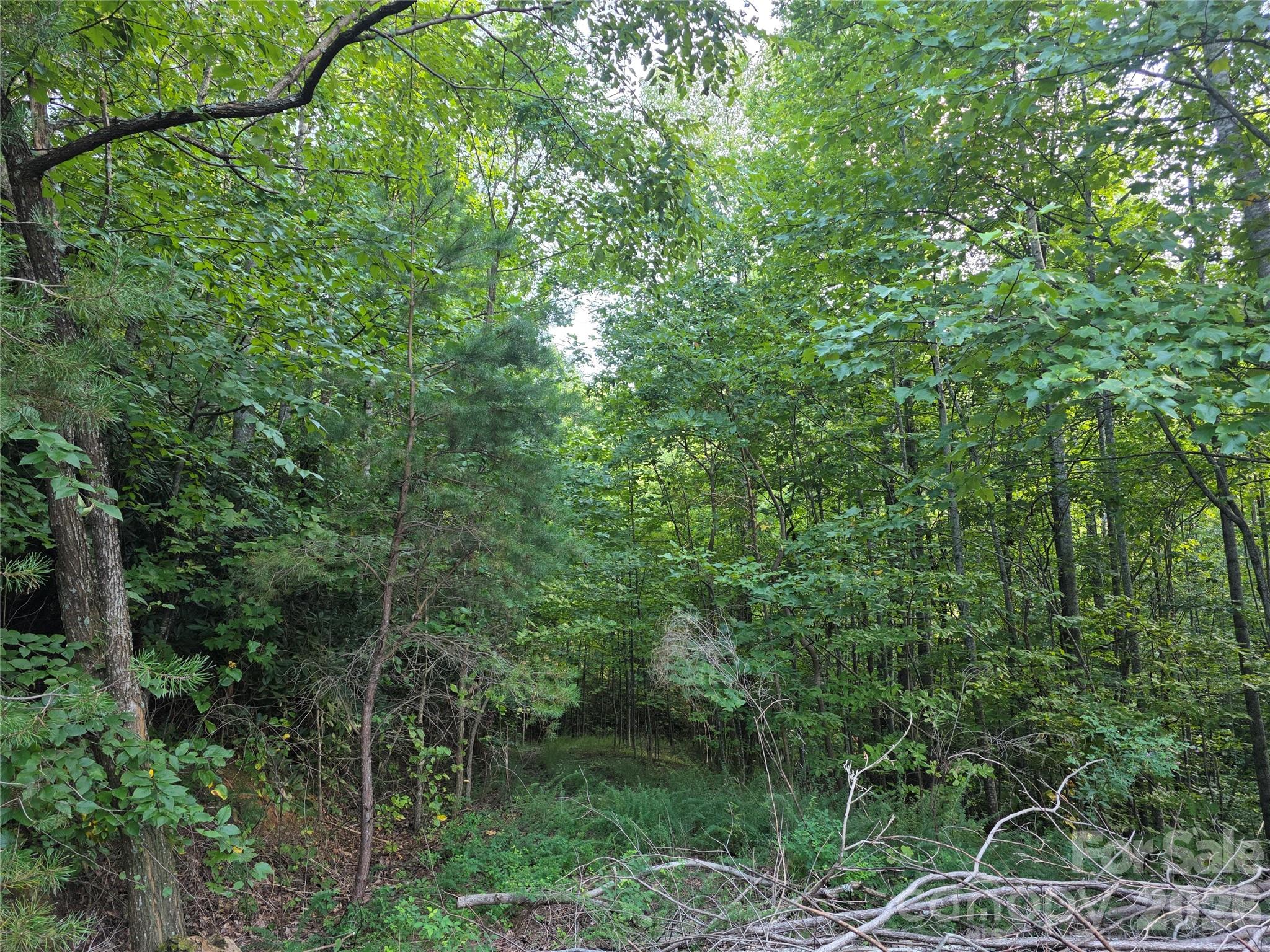 Lot 149 Big View Drive Property Photo 10