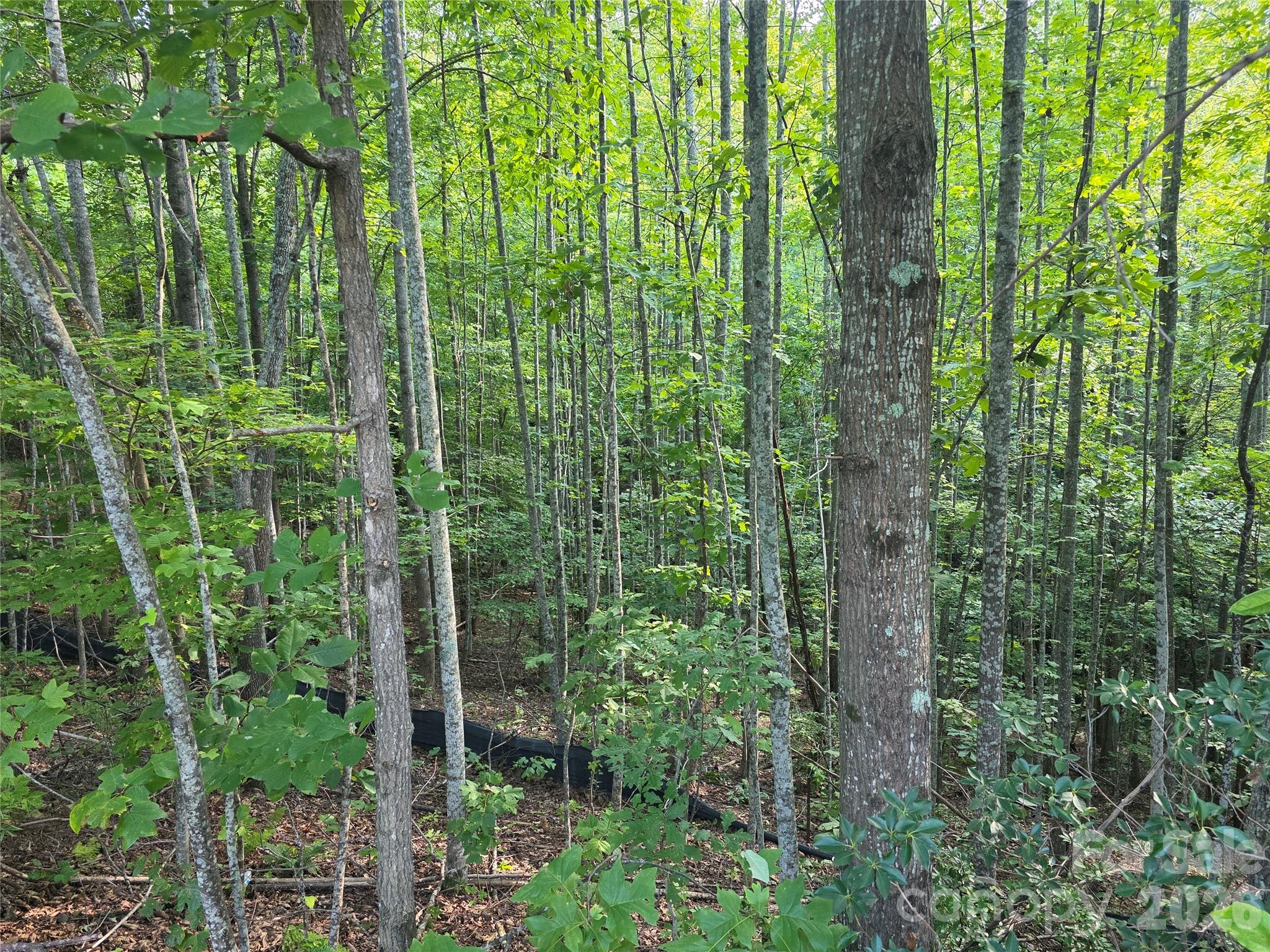 Lot 149 Big View Drive Property Photo 11