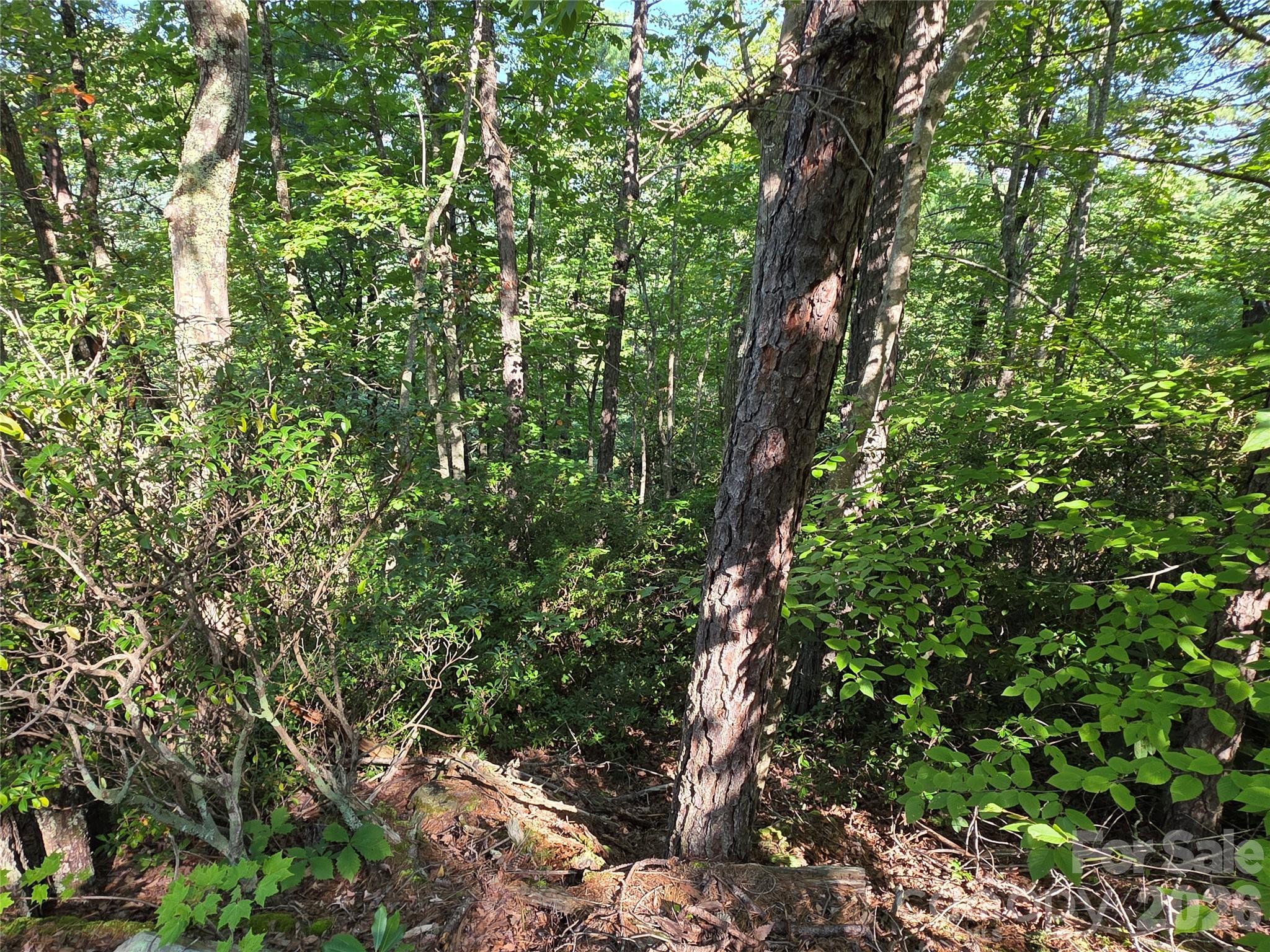 Lot 149 Big View Drive Property Photo 12