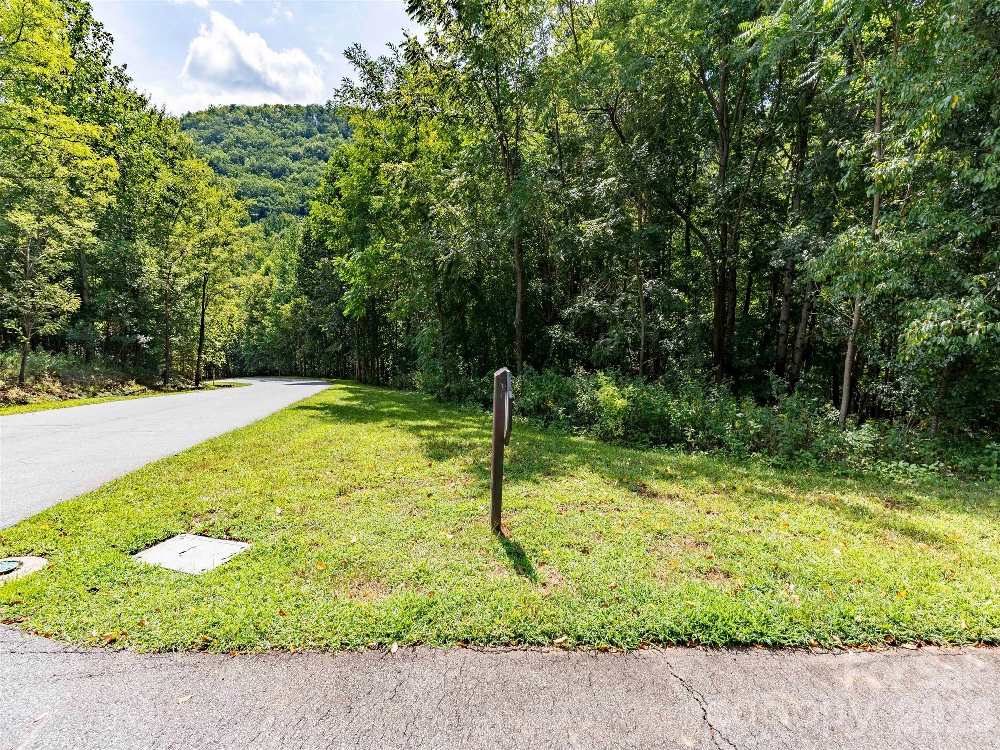 0 Deep Gap Farm Road 2061 Property Photo 2