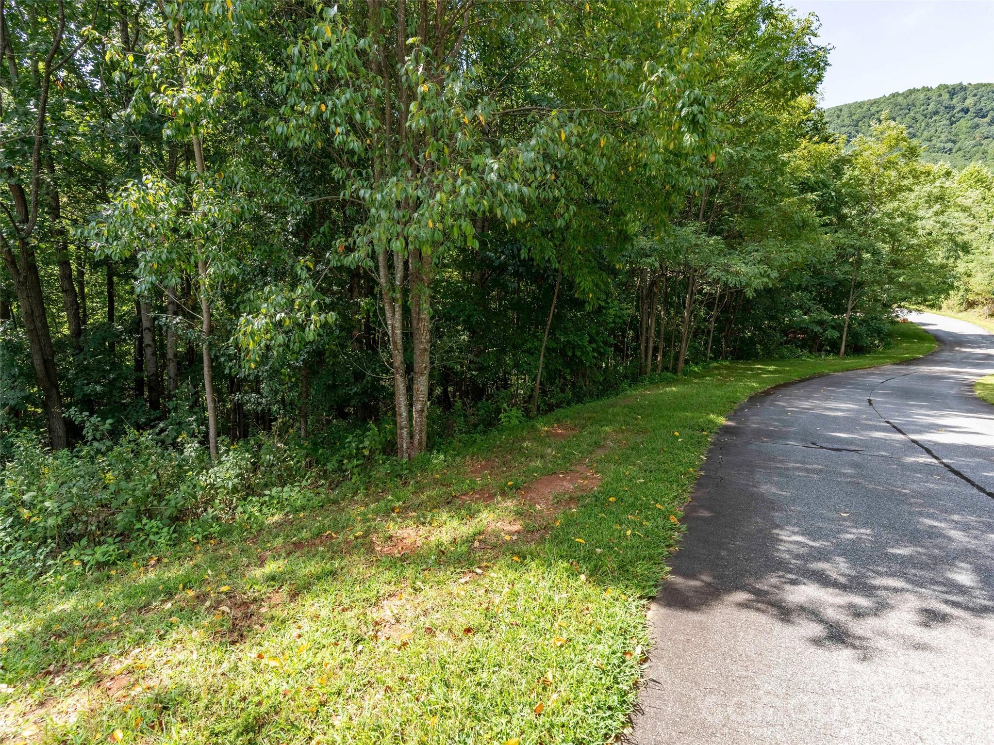 0 Deep Gap Farm Road 2061 Property Photo 3
