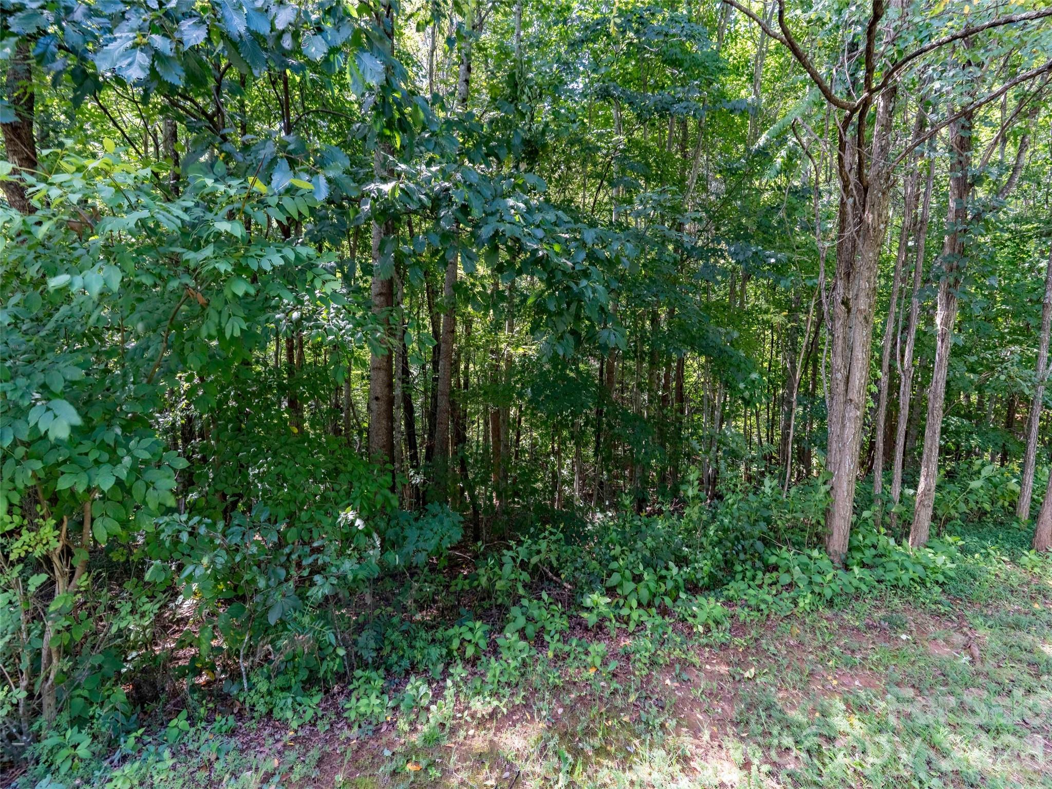 0 Deep Gap Farm Road 2061 Property Photo 4