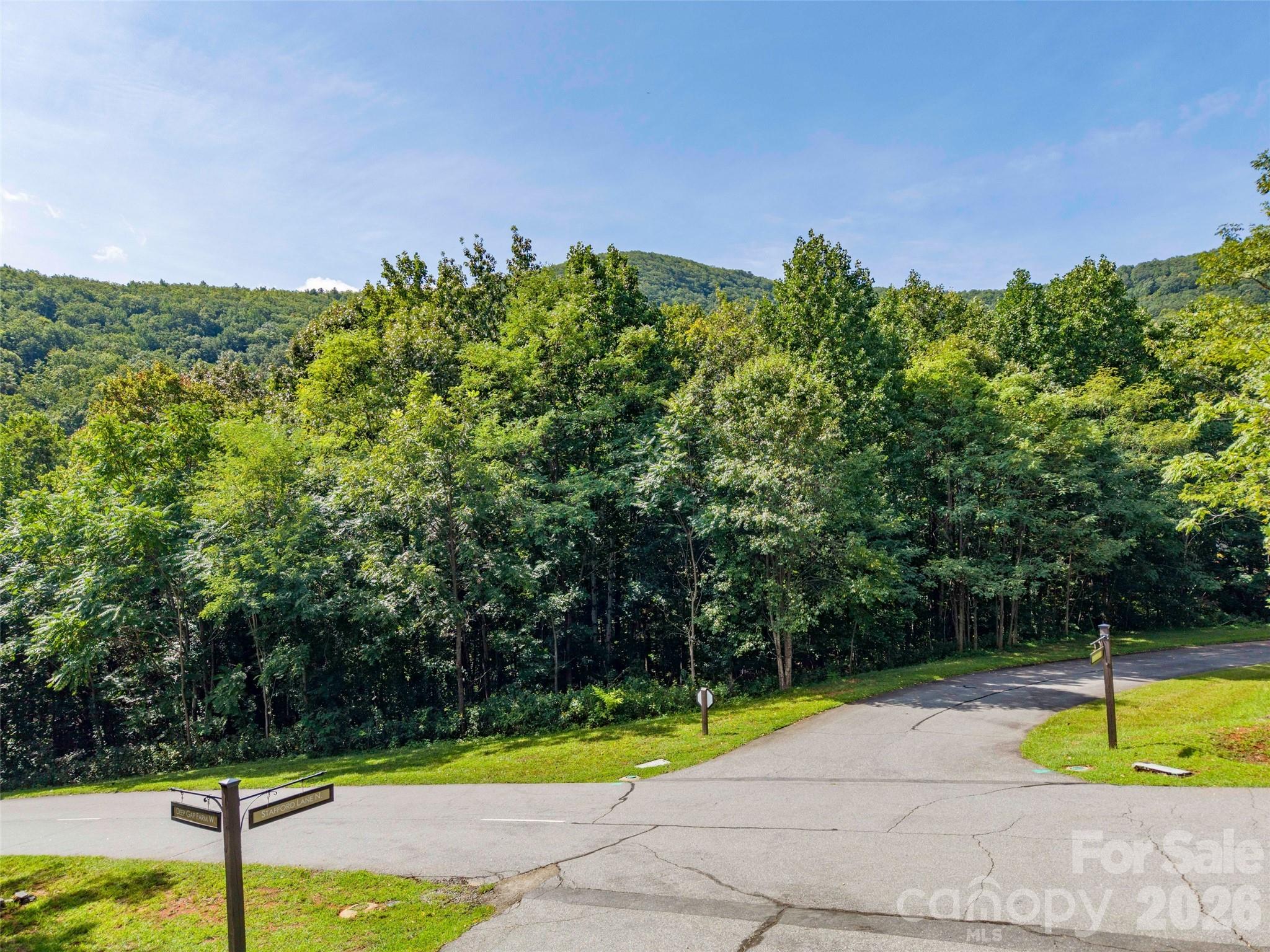 0 Deep Gap Farm Road 2061 Property Photo 5