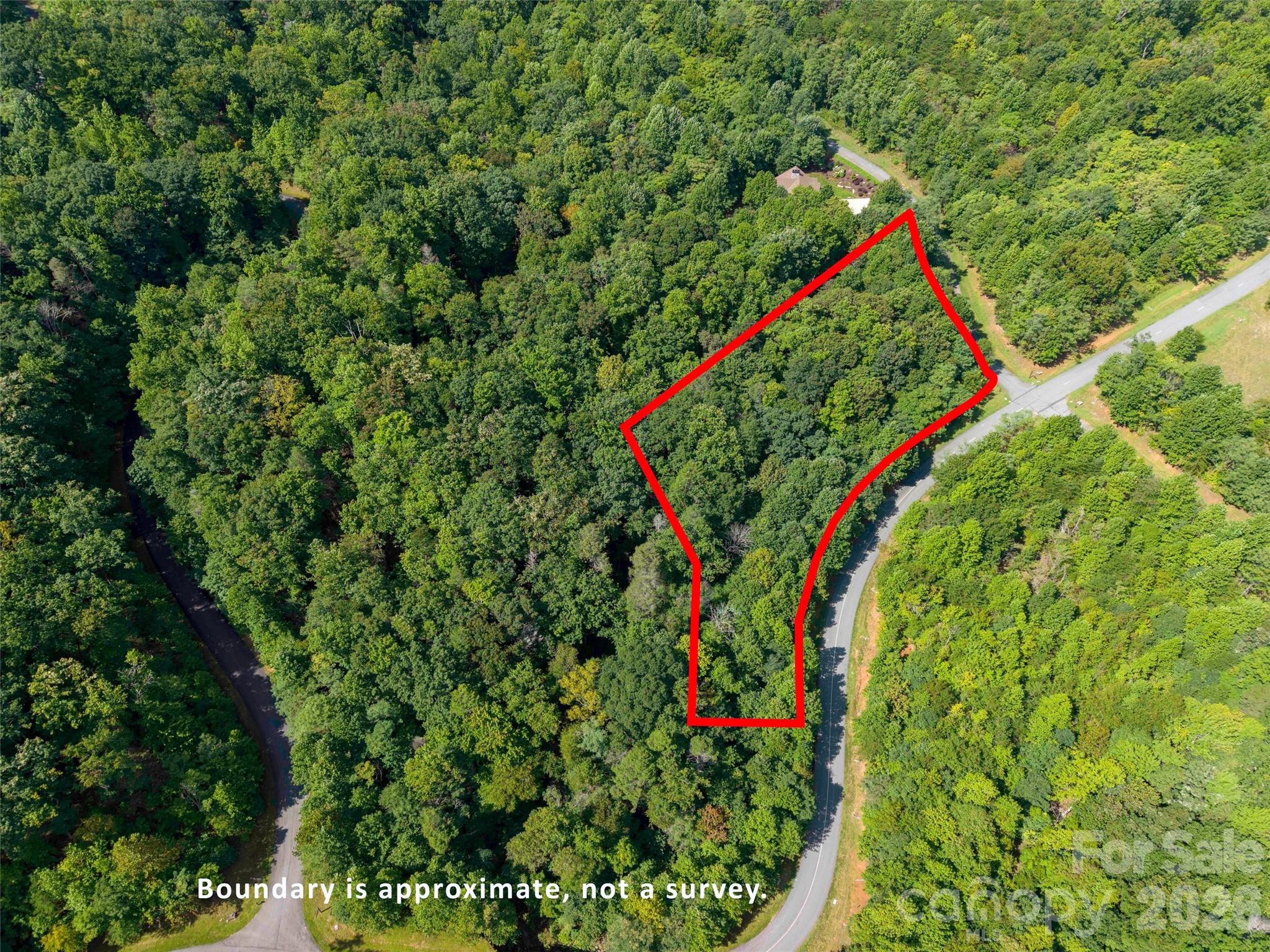 0 Deep Gap Farm Road 2061 Property Photo 9