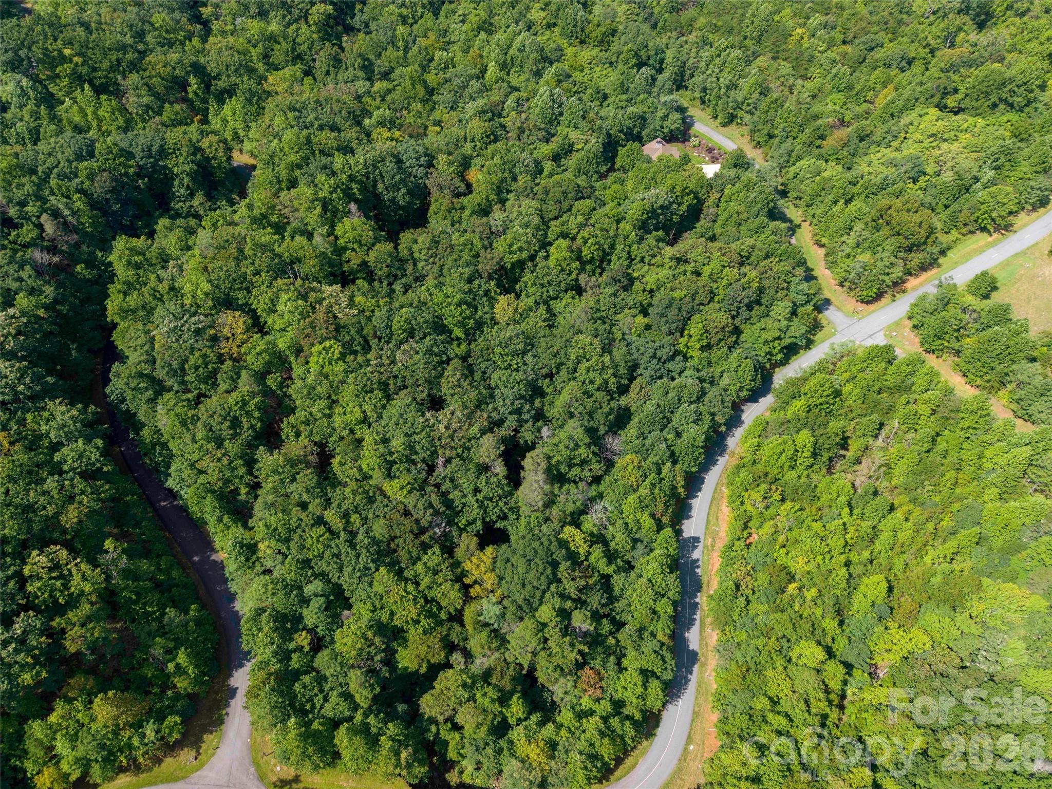 0 Deep Gap Farm Road 2061 Property Photo 10