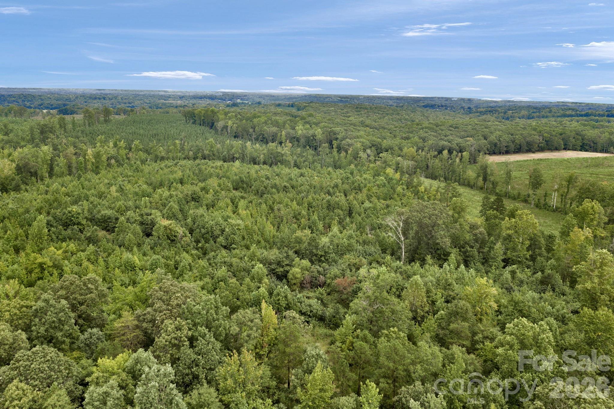 00 Mountain Road Property Photo 2