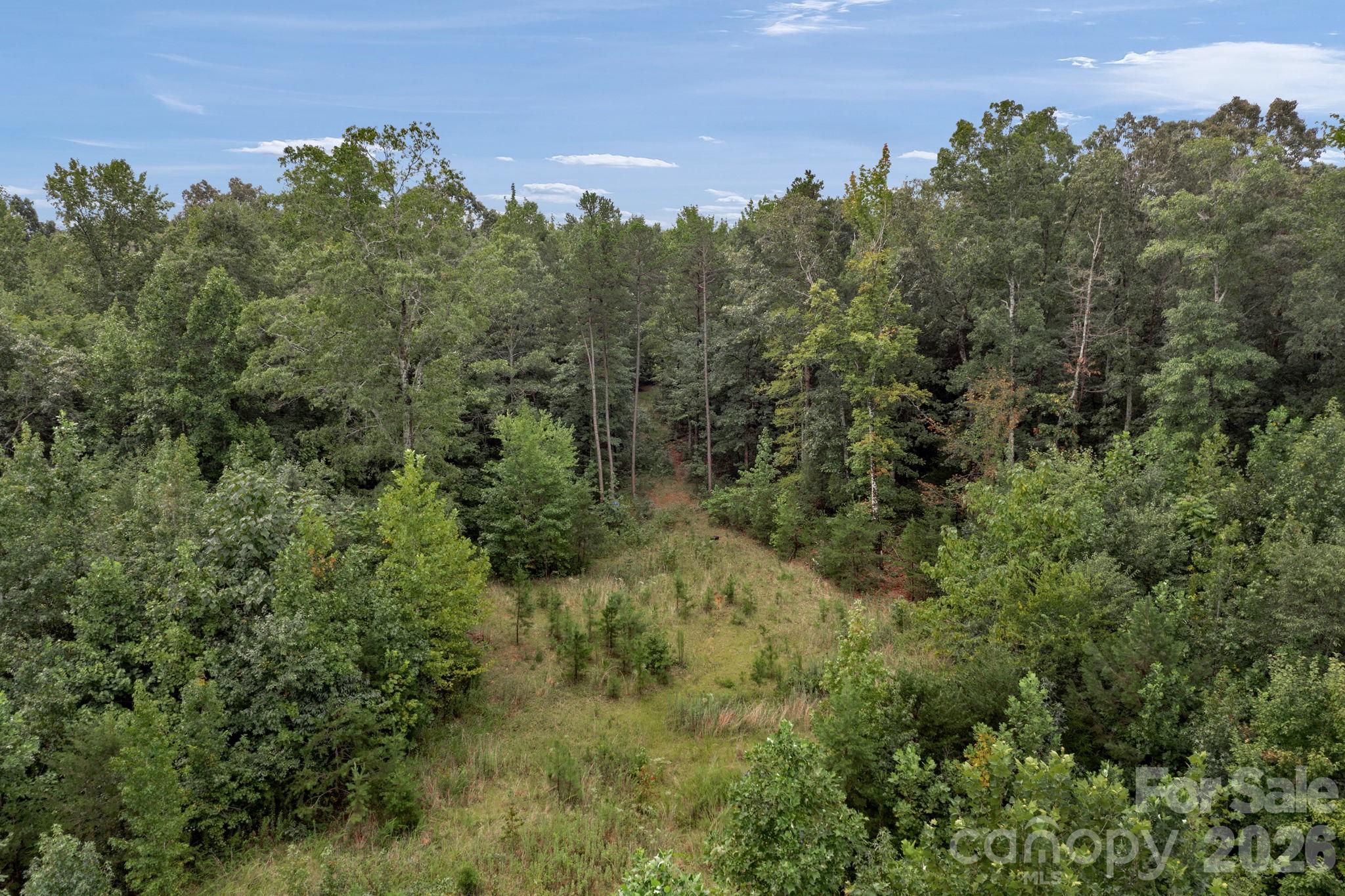 00 Mountain Road Property Photo 5