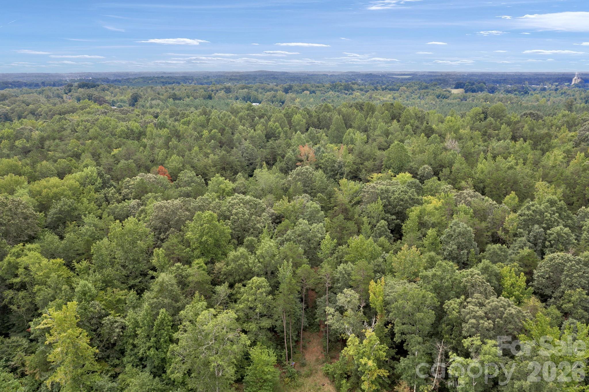 00 Mountain Road Property Photo 6