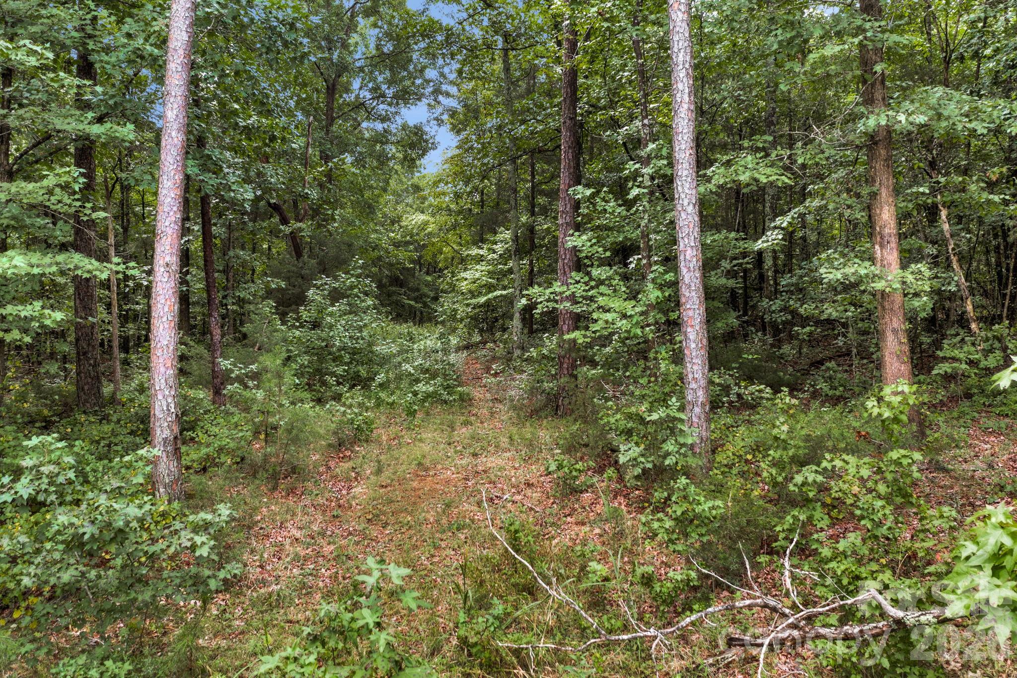 00 Mountain Road Property Photo 12