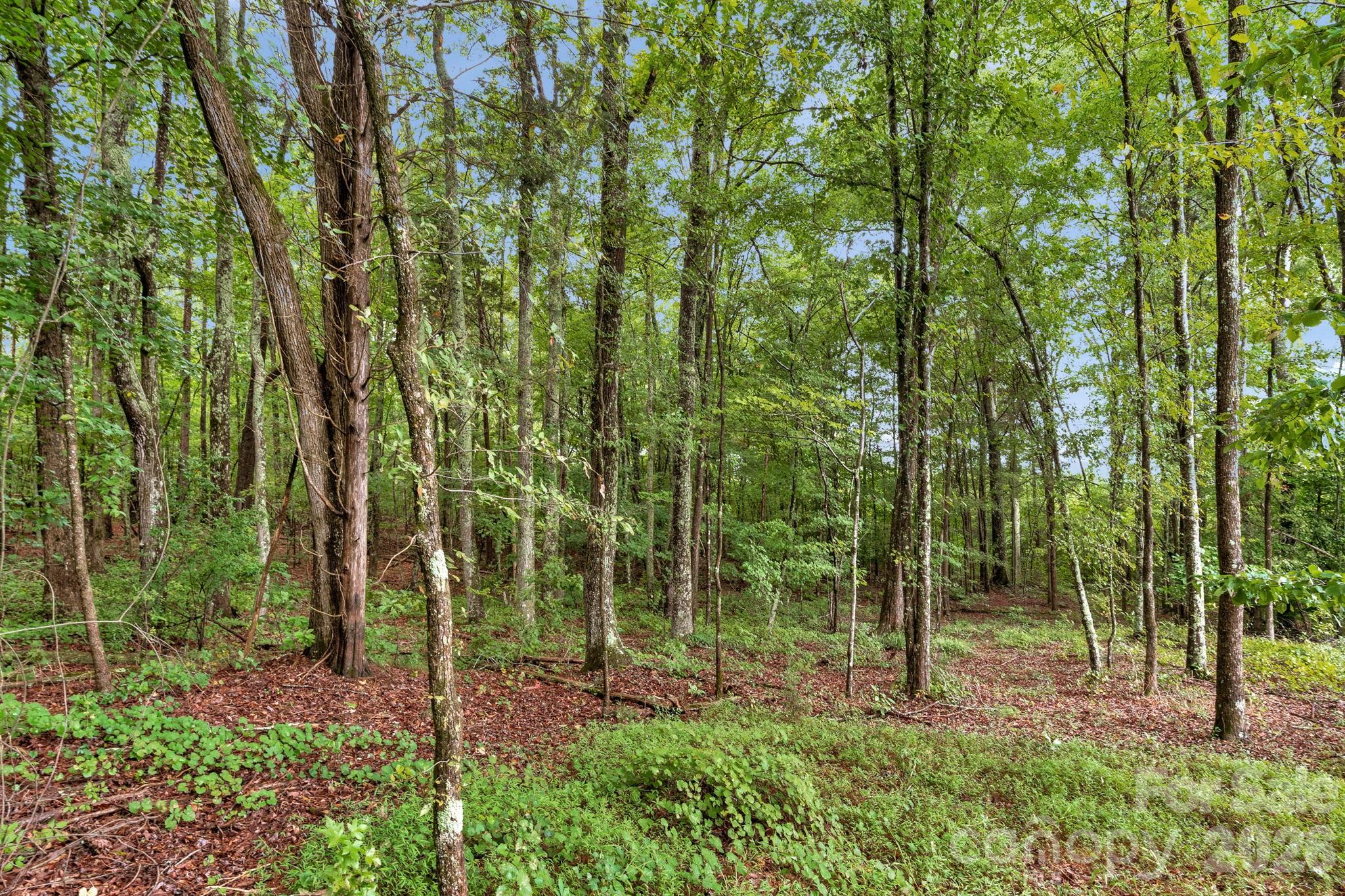 00 Mountain Road Property Photo 13