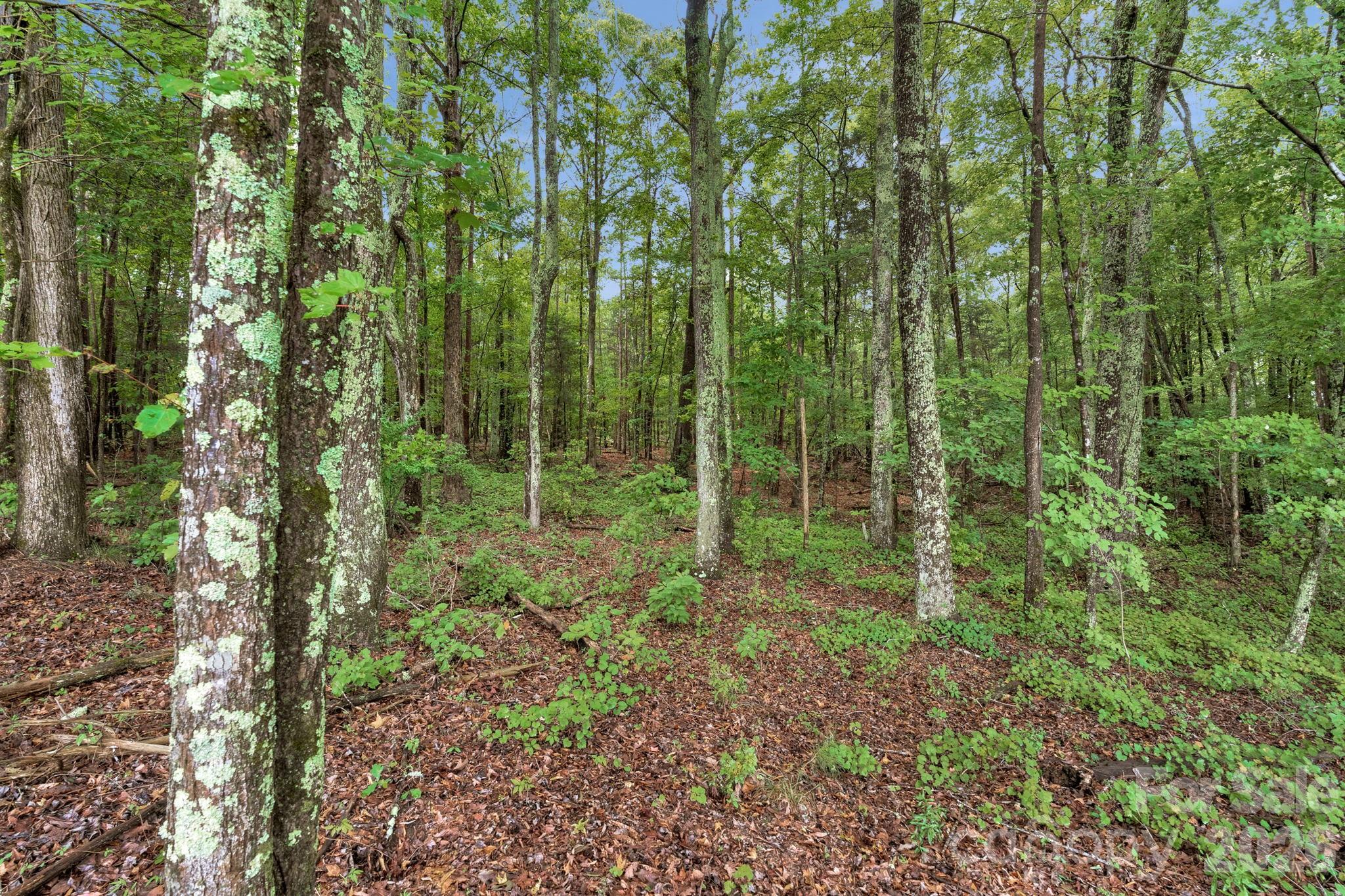 00 Mountain Road Property Photo 14