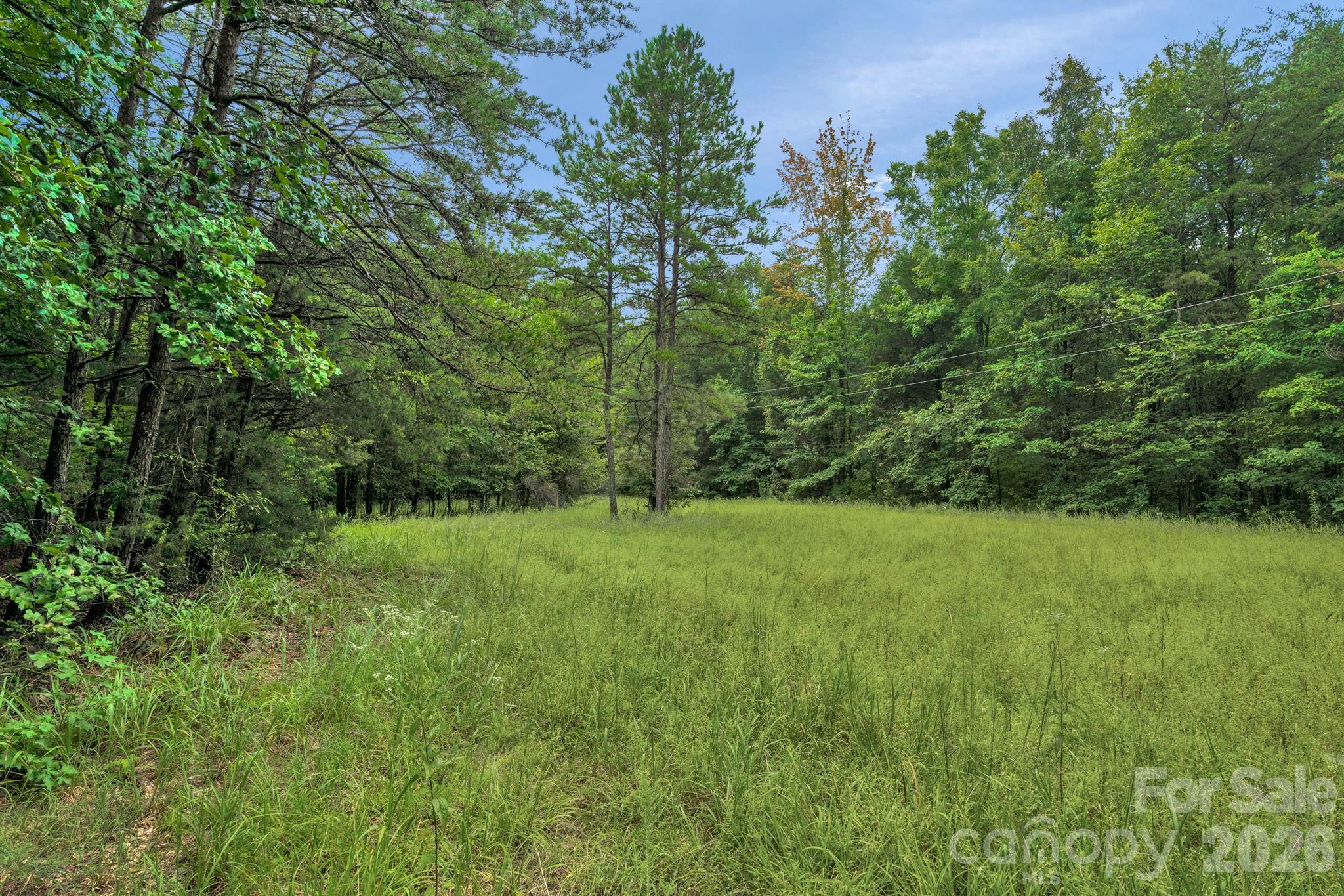 00 Mountain Road Property Photo 15