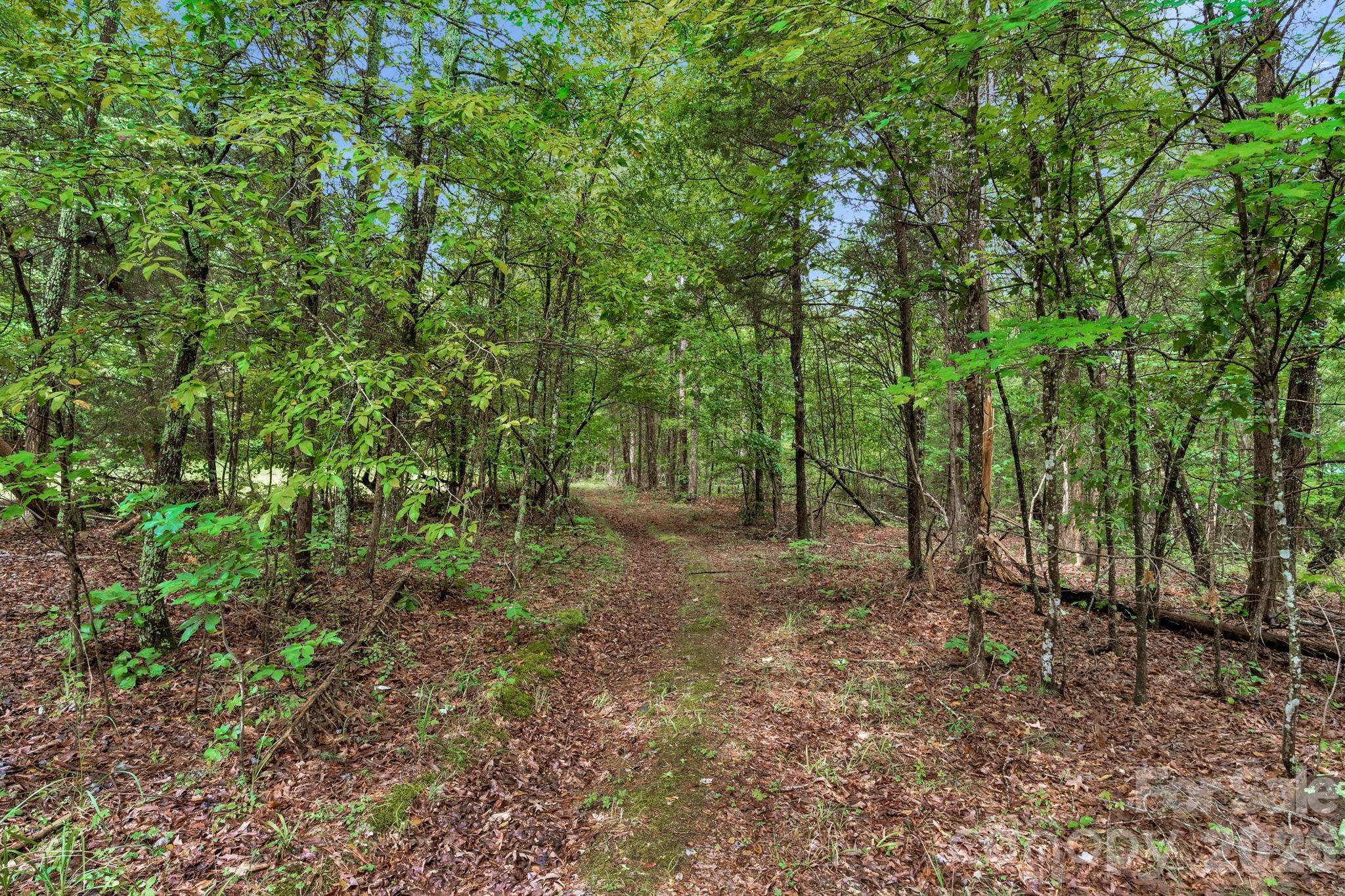 00 Mountain Road Property Photo 16