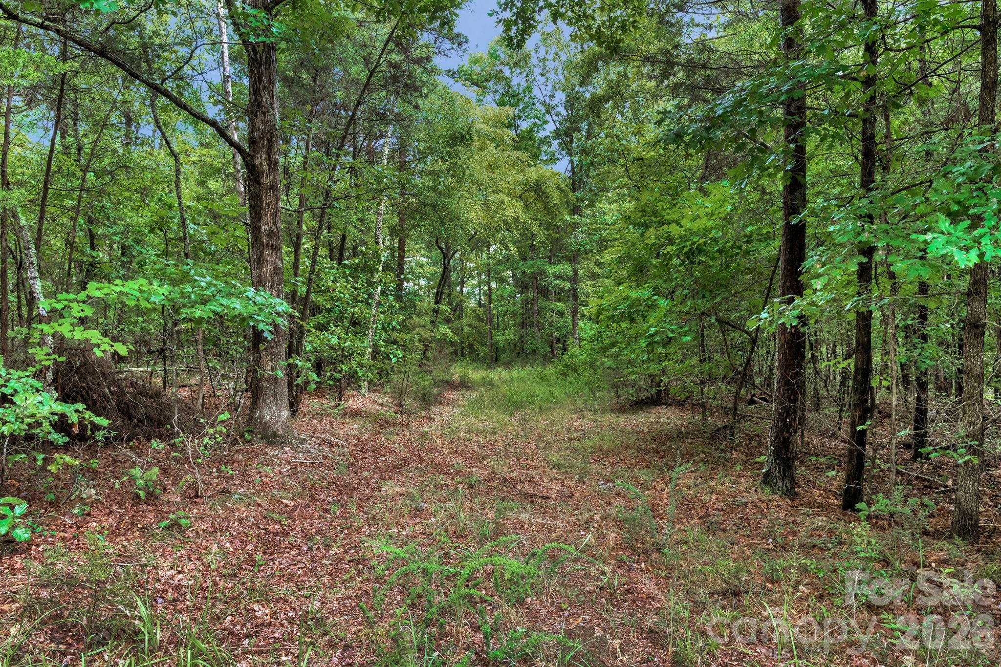 00 Mountain Road Property Photo 17