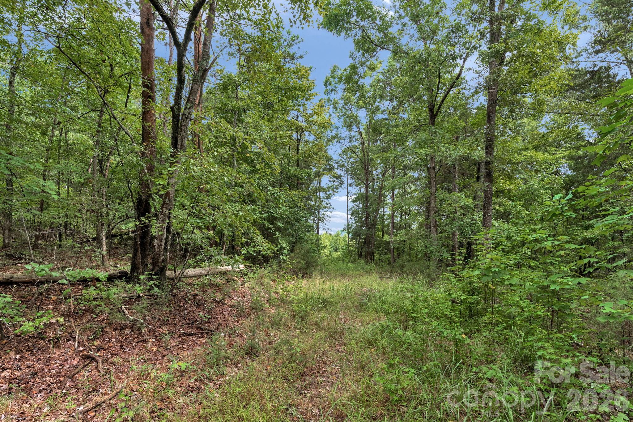 00 Mountain Road Property Photo 18