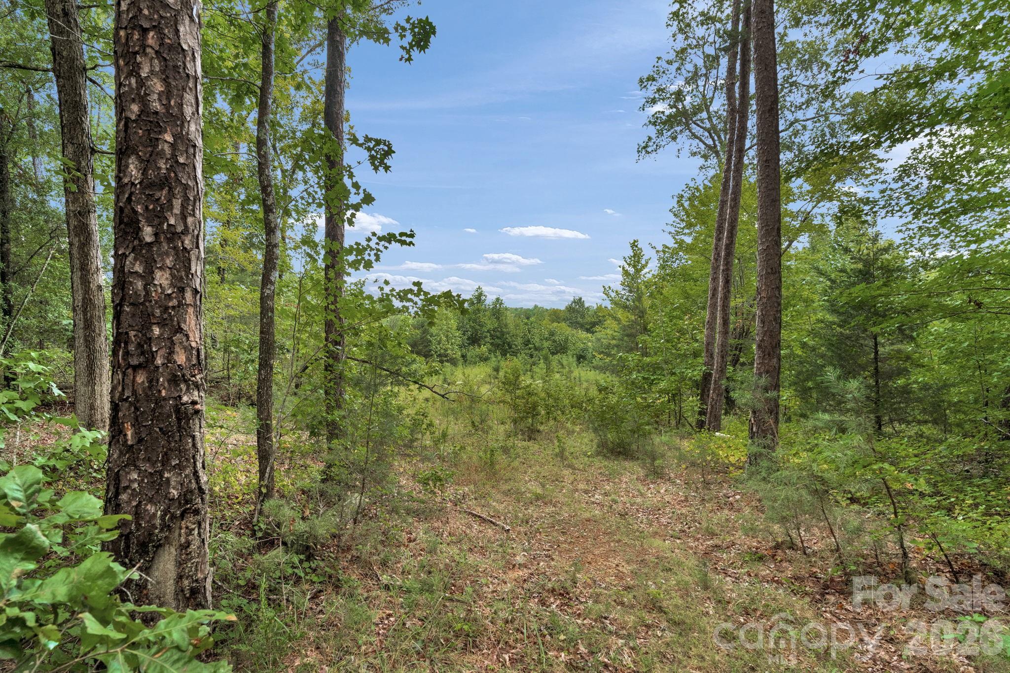 00 Mountain Road Property Photo 19