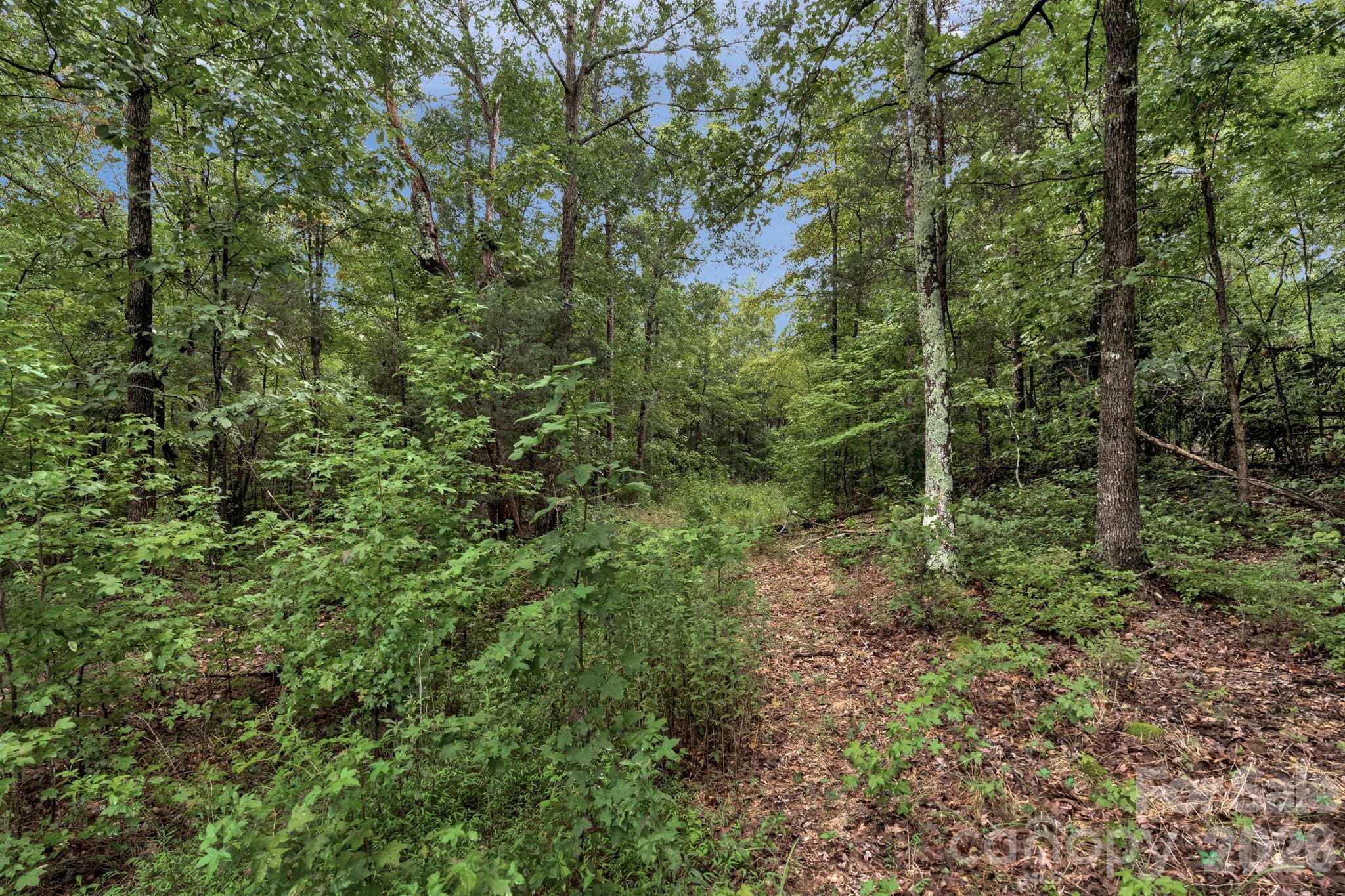 00 Mountain Road Property Photo 20