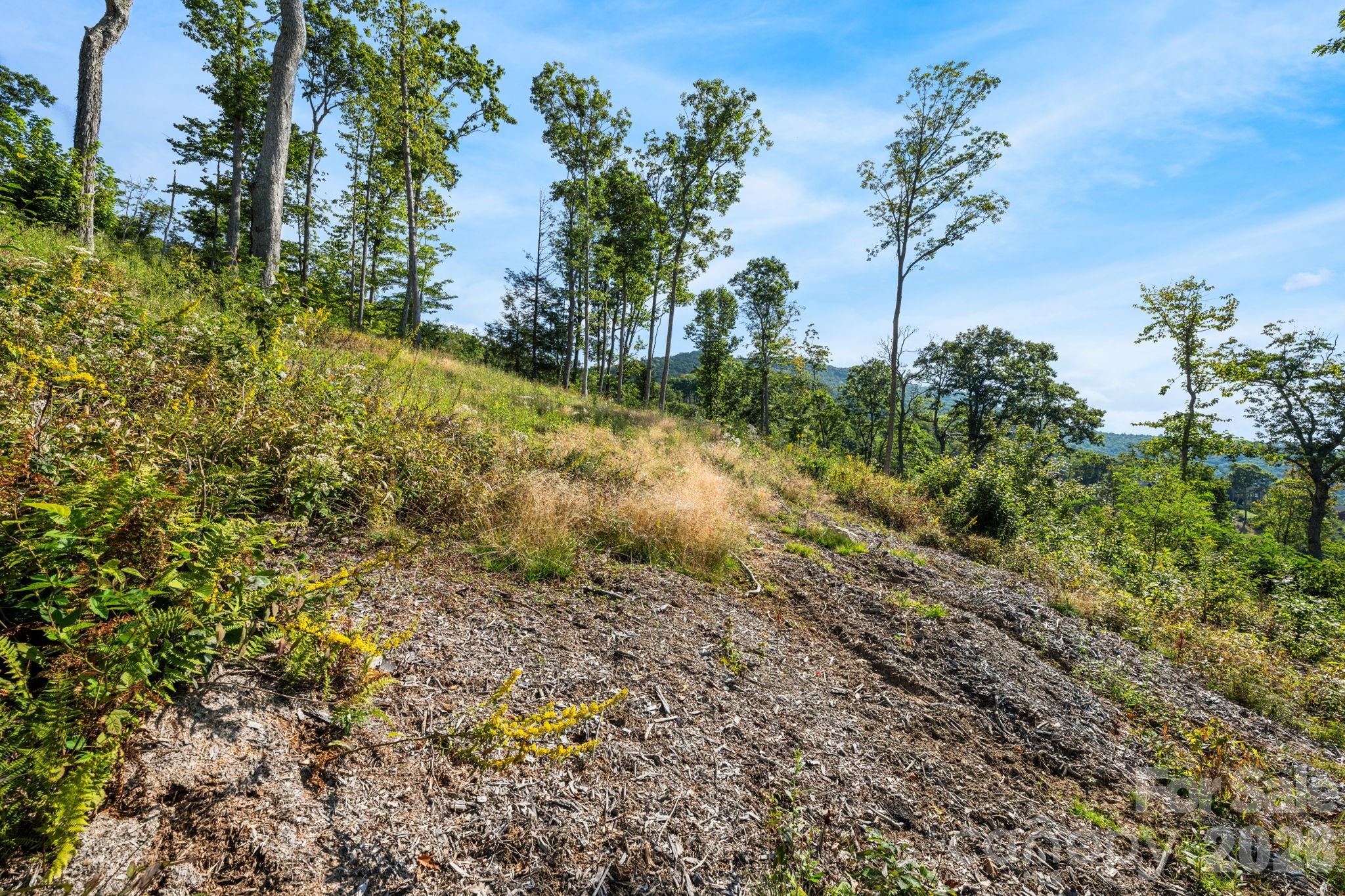 Lot G-61 American Eagle Trail Property Photo 18
