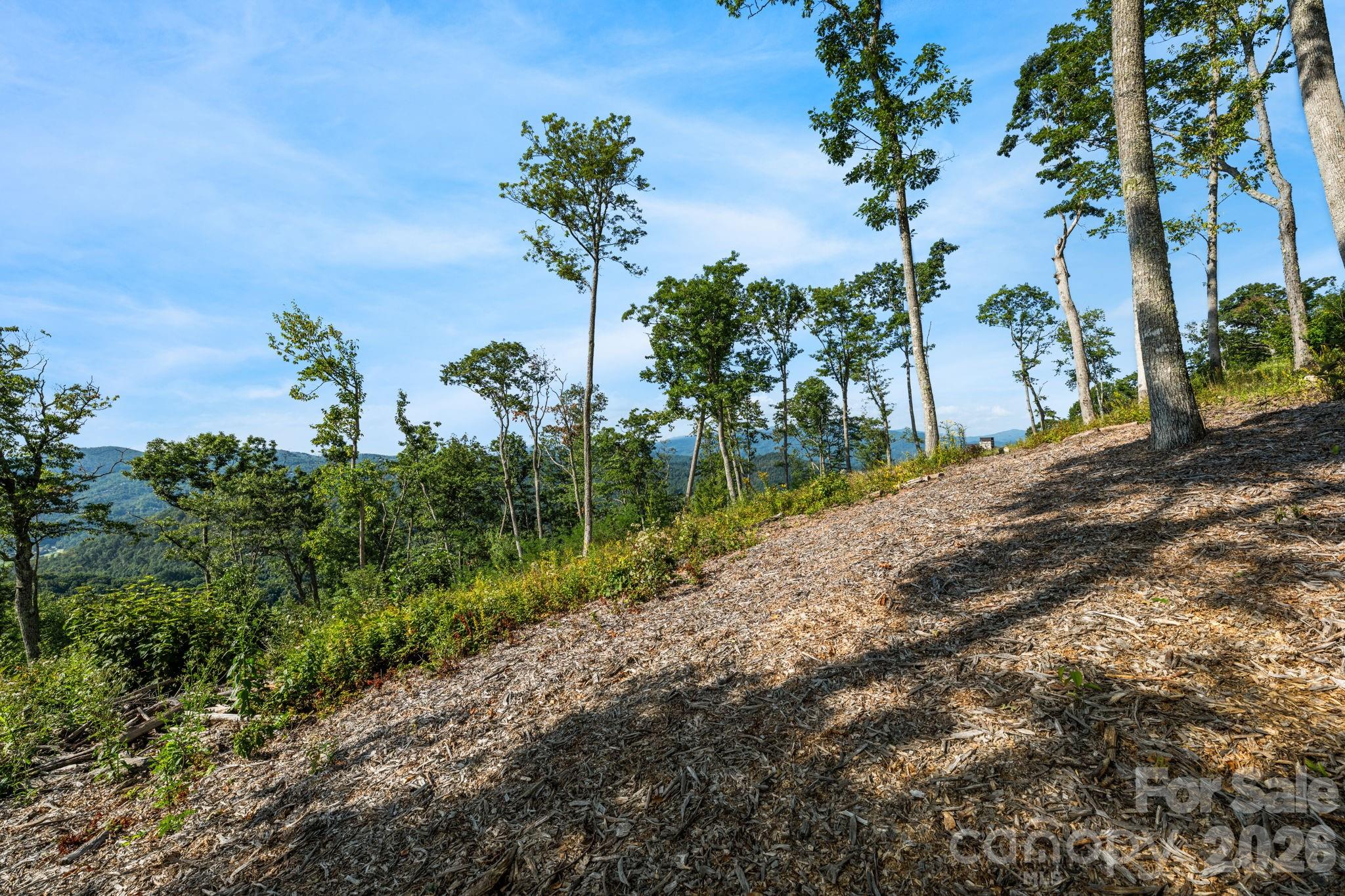 Lot G-61 American Eagle Trail Property Photo 19