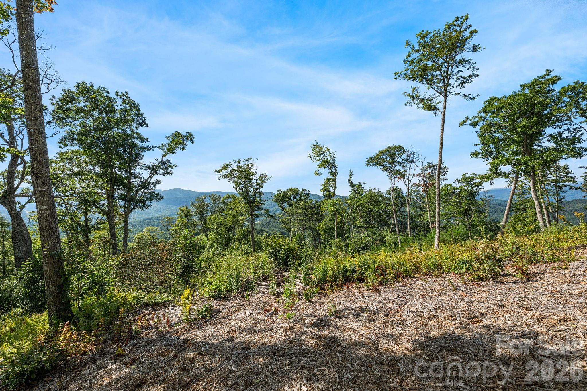 Lot G-61 American Eagle Trail Property Photo 20