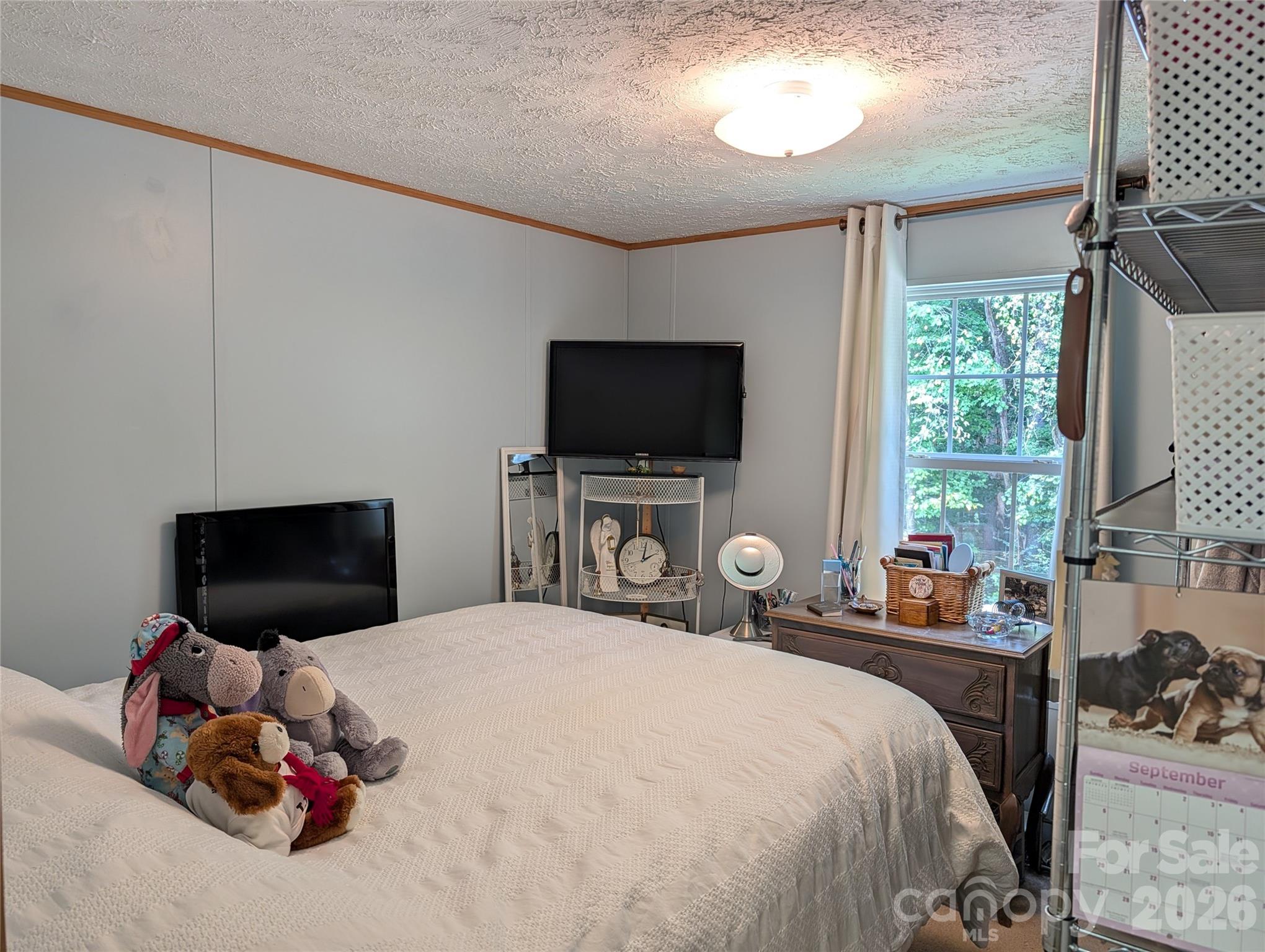 29 Herschel King Drive Property Photo 11