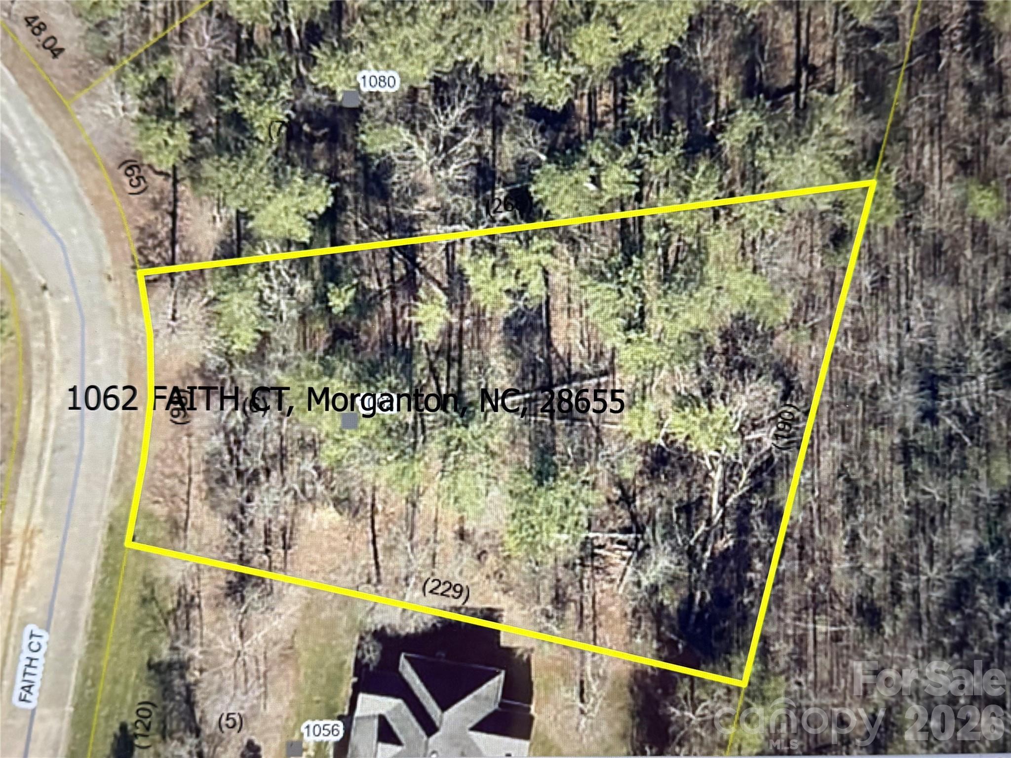 1062 Faith Court Property Photo 36