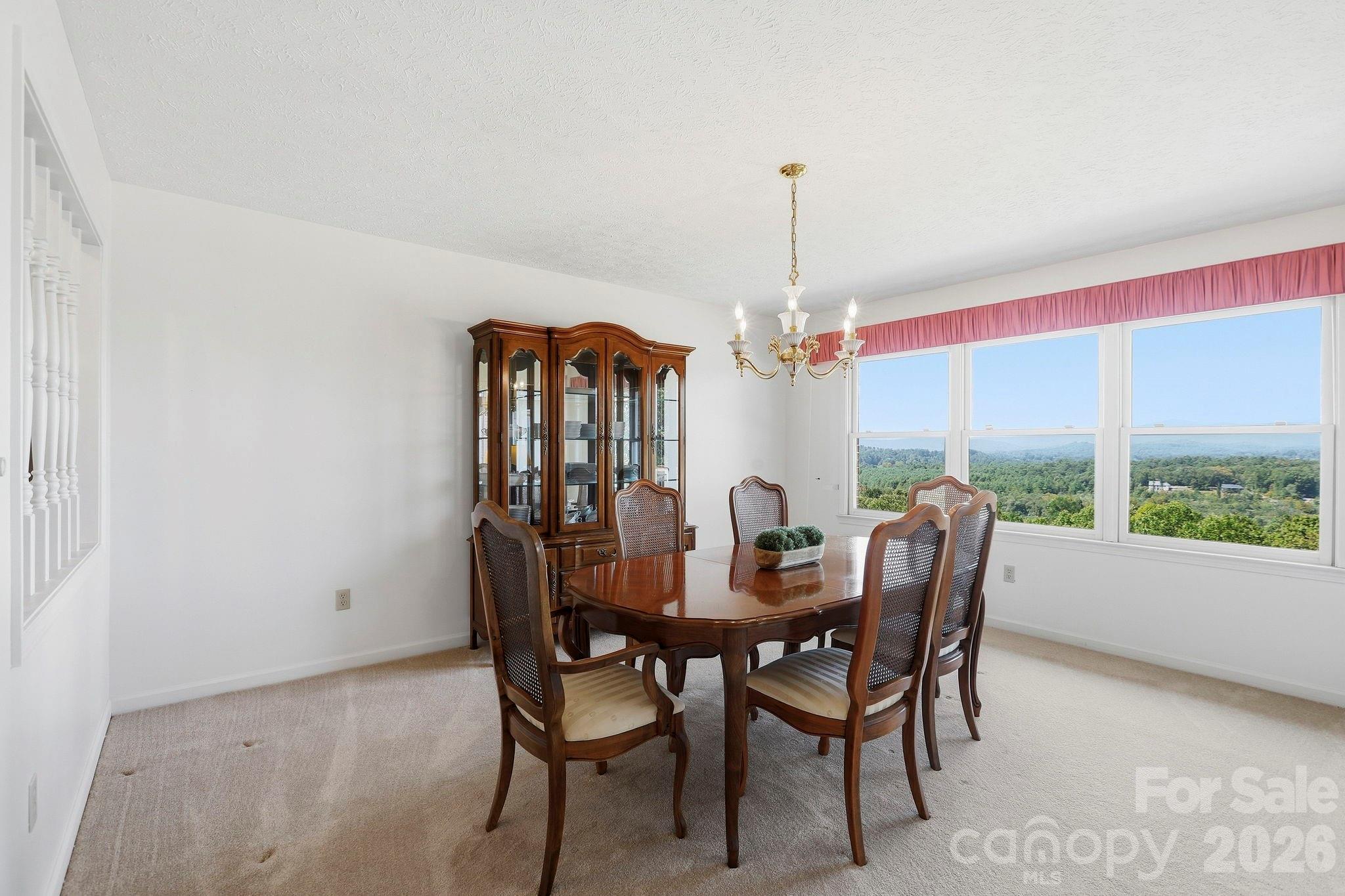 244 Mountain Valley Drive Property Photo 16