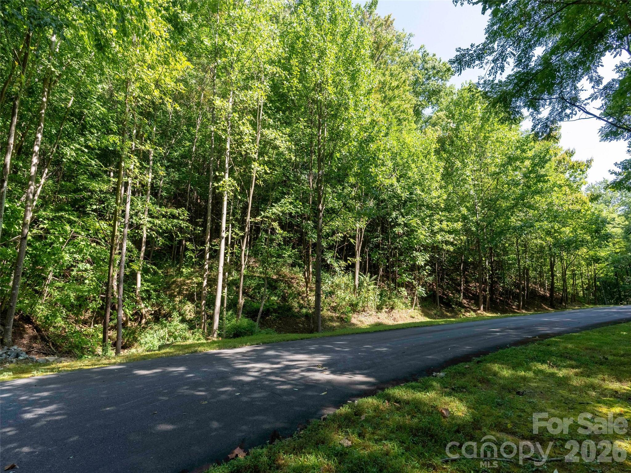 0 Harm Creek Loop 2142 Property Photo 2