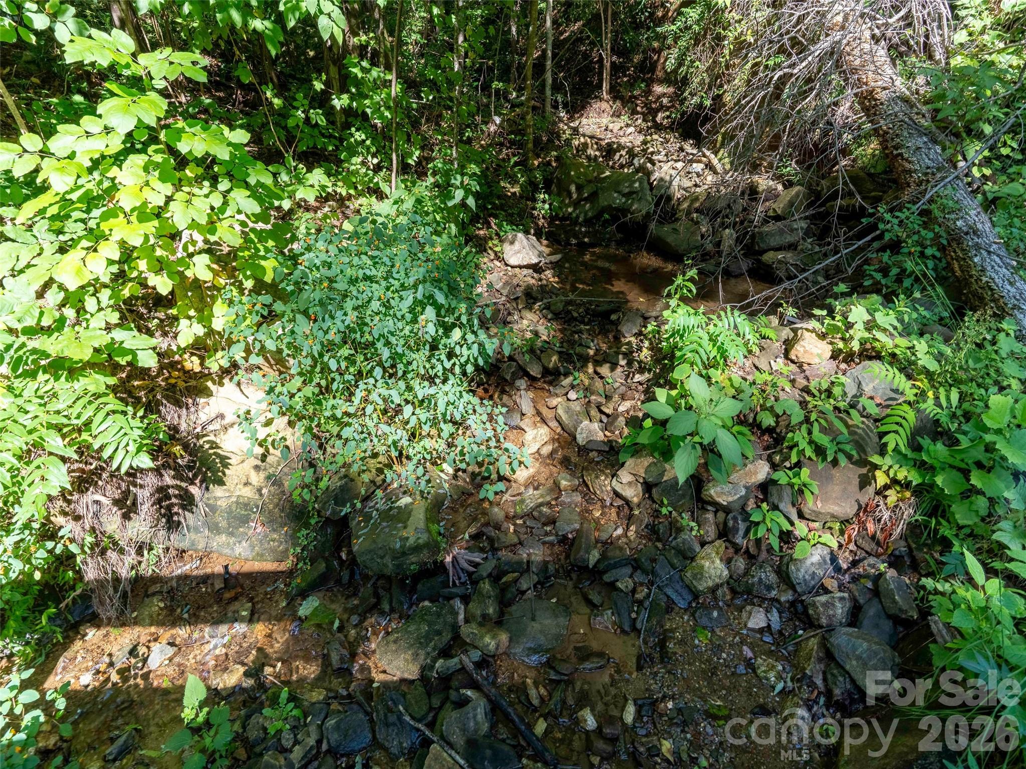 0 Harm Creek Loop 2142 Property Photo 3