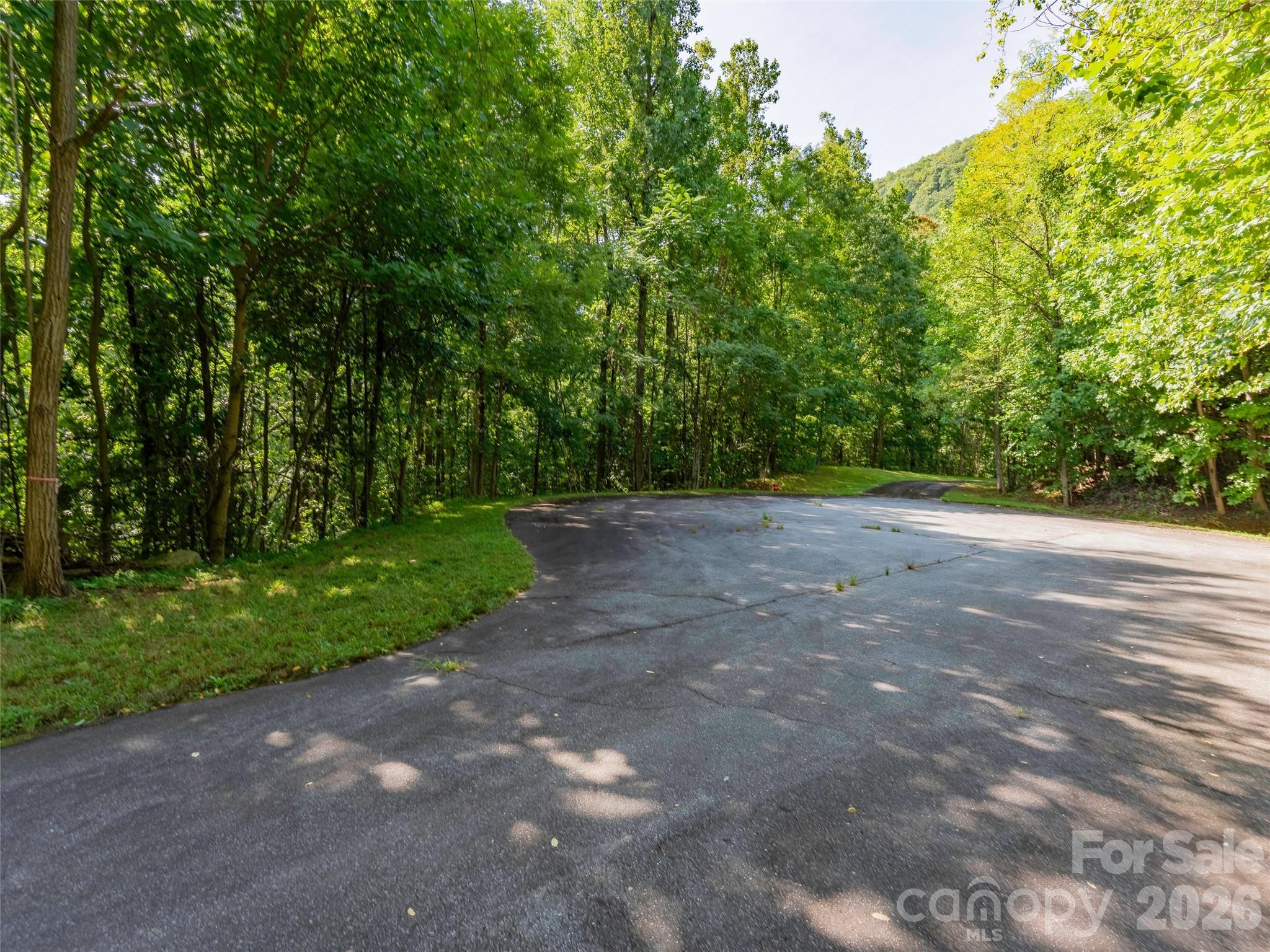 0 Harm Creek Loop 2142 Property Photo 4