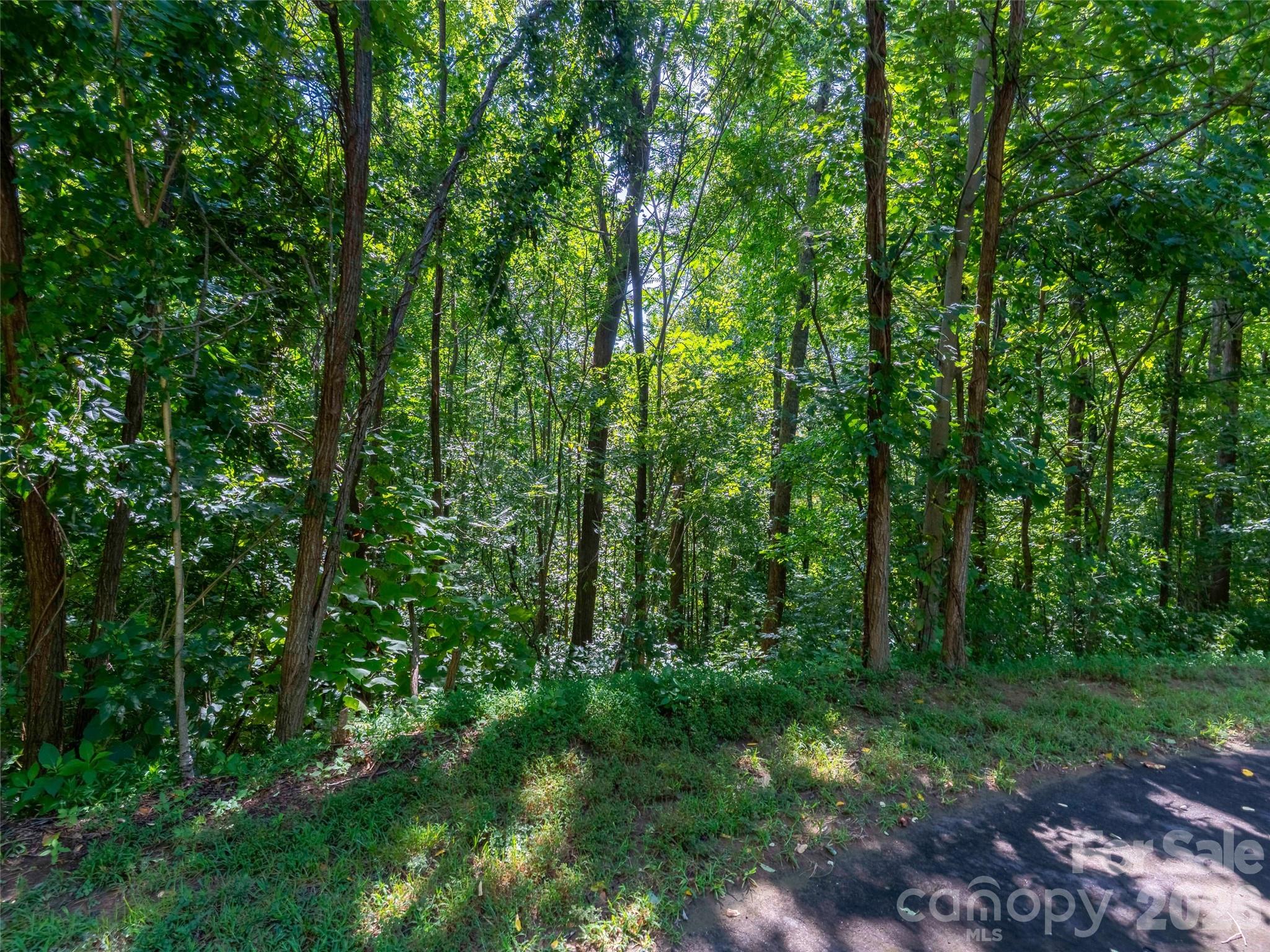 0 Harm Creek Loop 2142 Property Photo 5