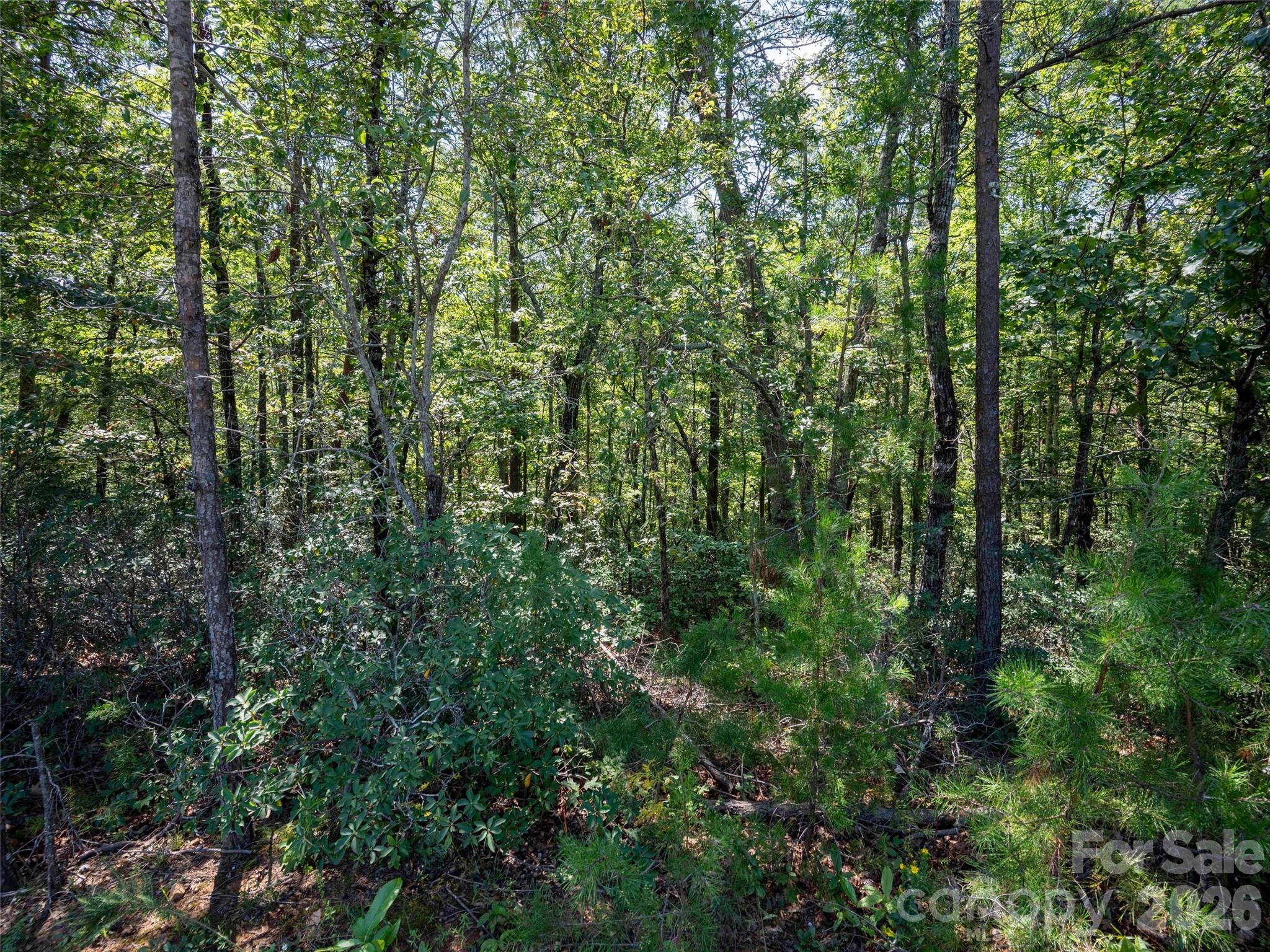 0 Deep Gap Farm Road 2007 Property Photo 4
