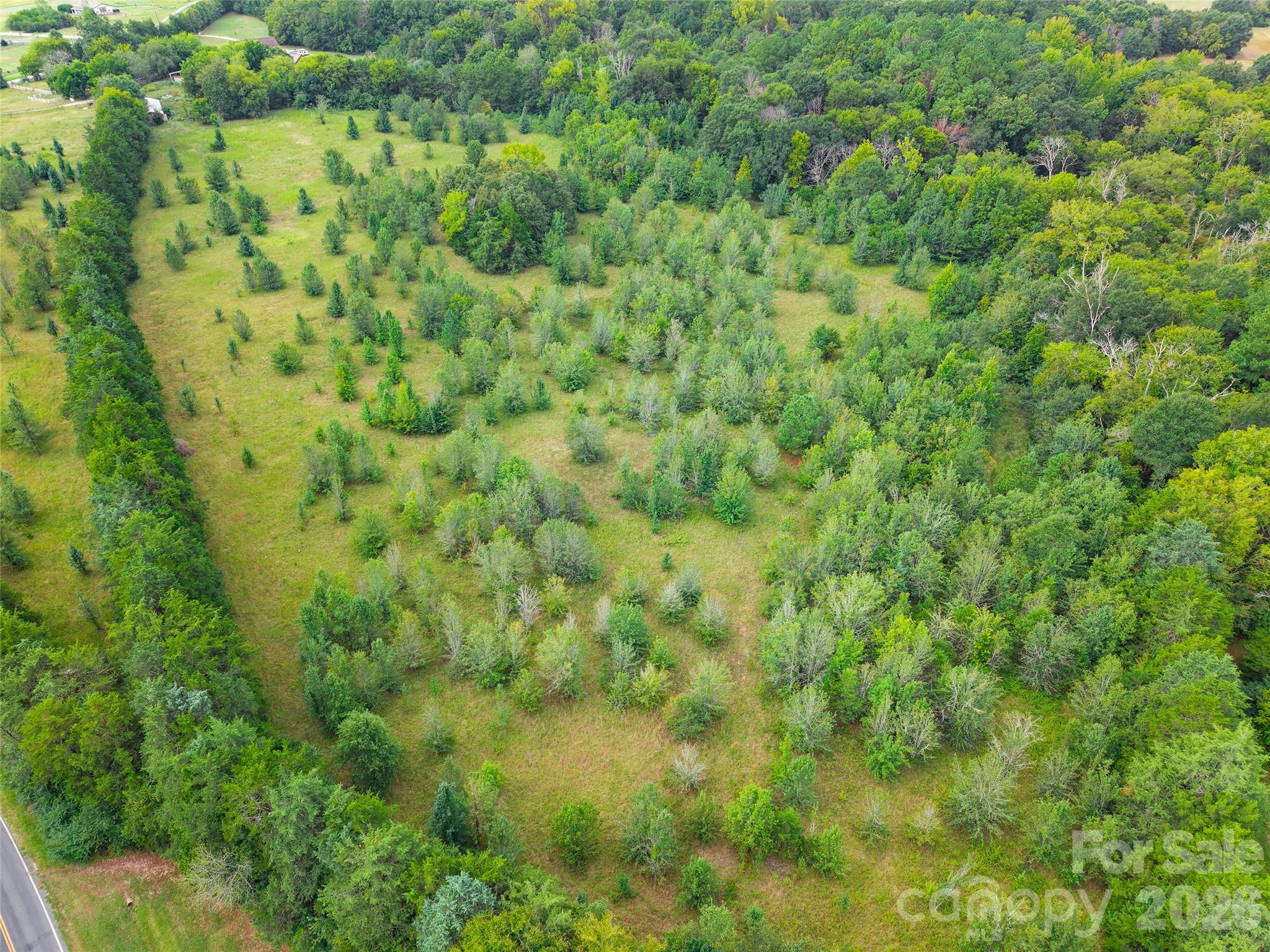 450 Rambo Road Property Photo 10