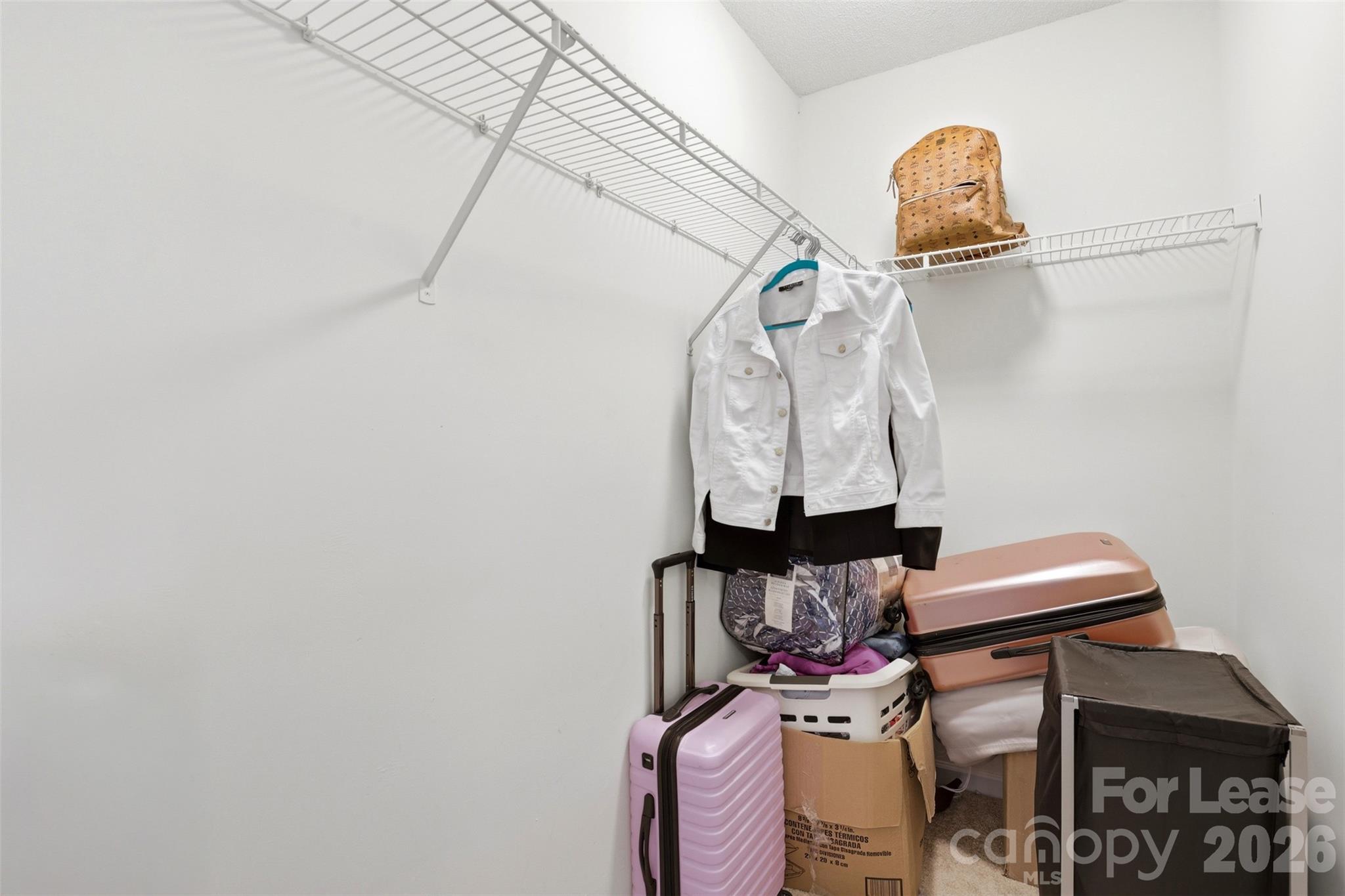 6720 Cypress Tree Lane Property Photo 22
