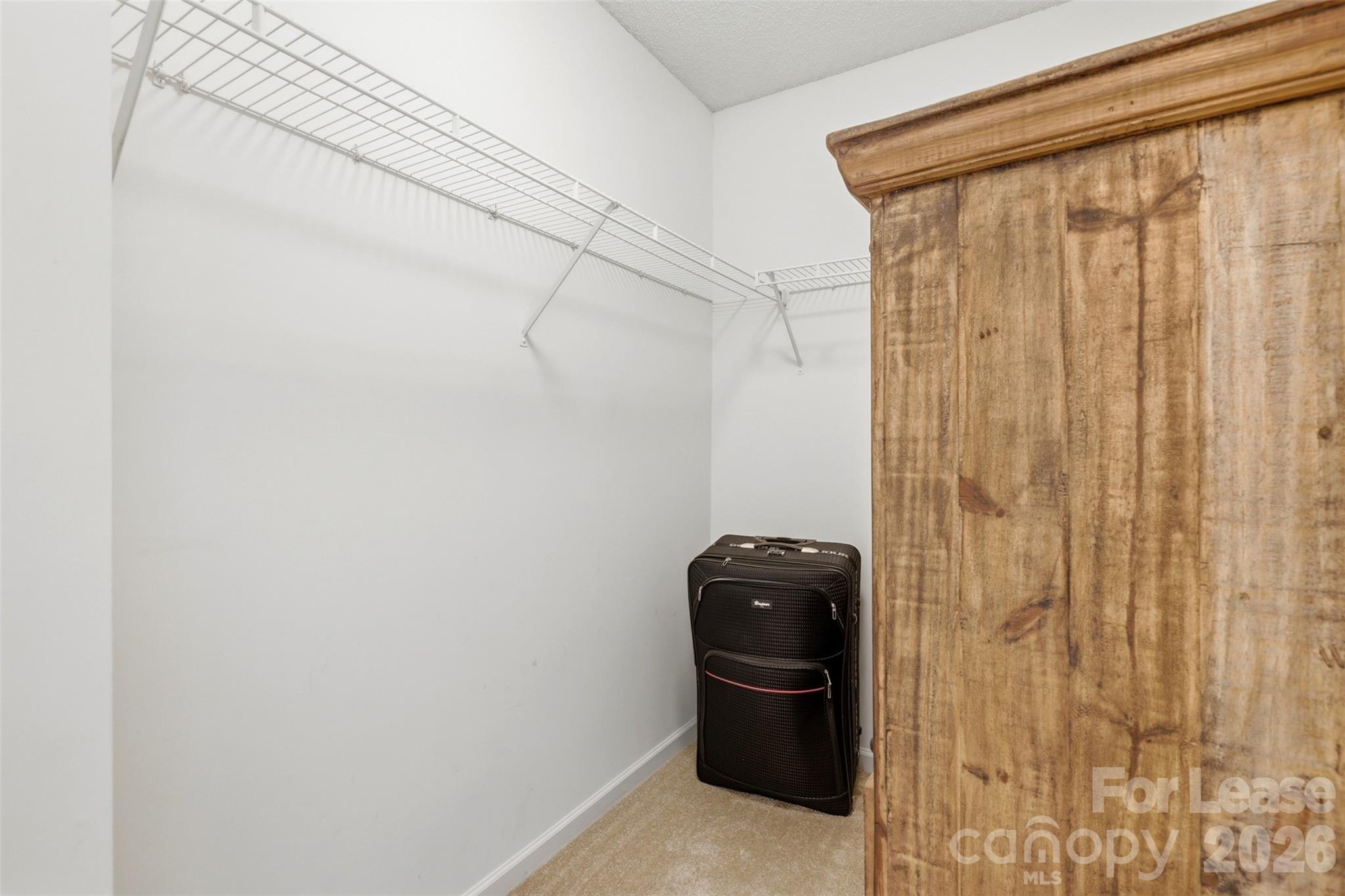 6720 Cypress Tree Lane Property Photo 23