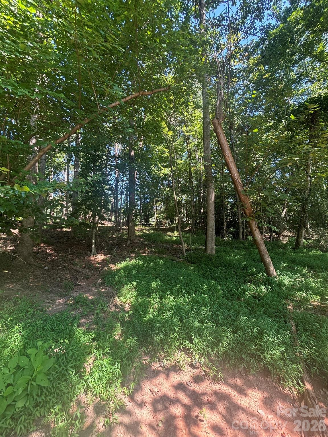 000 Pineview Court Property Photo 1