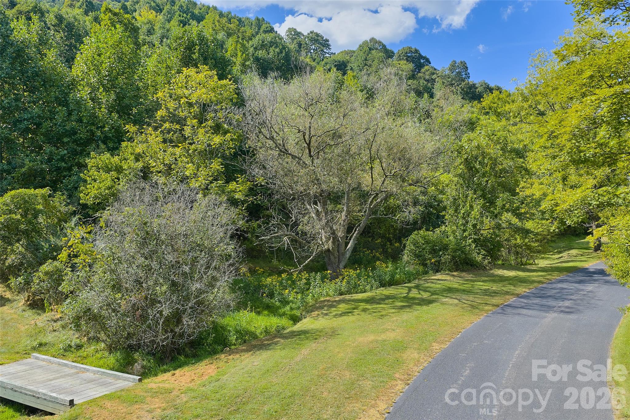 0 No 911 Address Assigned Mountain Park Drive 4 Property Photo 11
