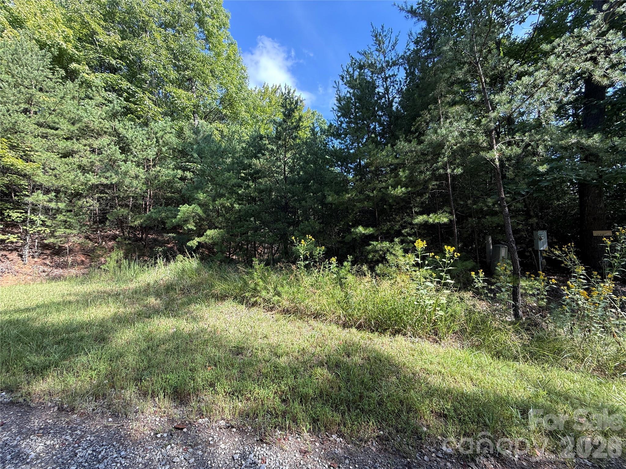 TBD Wolf Pen Road 24 Property Photo 1