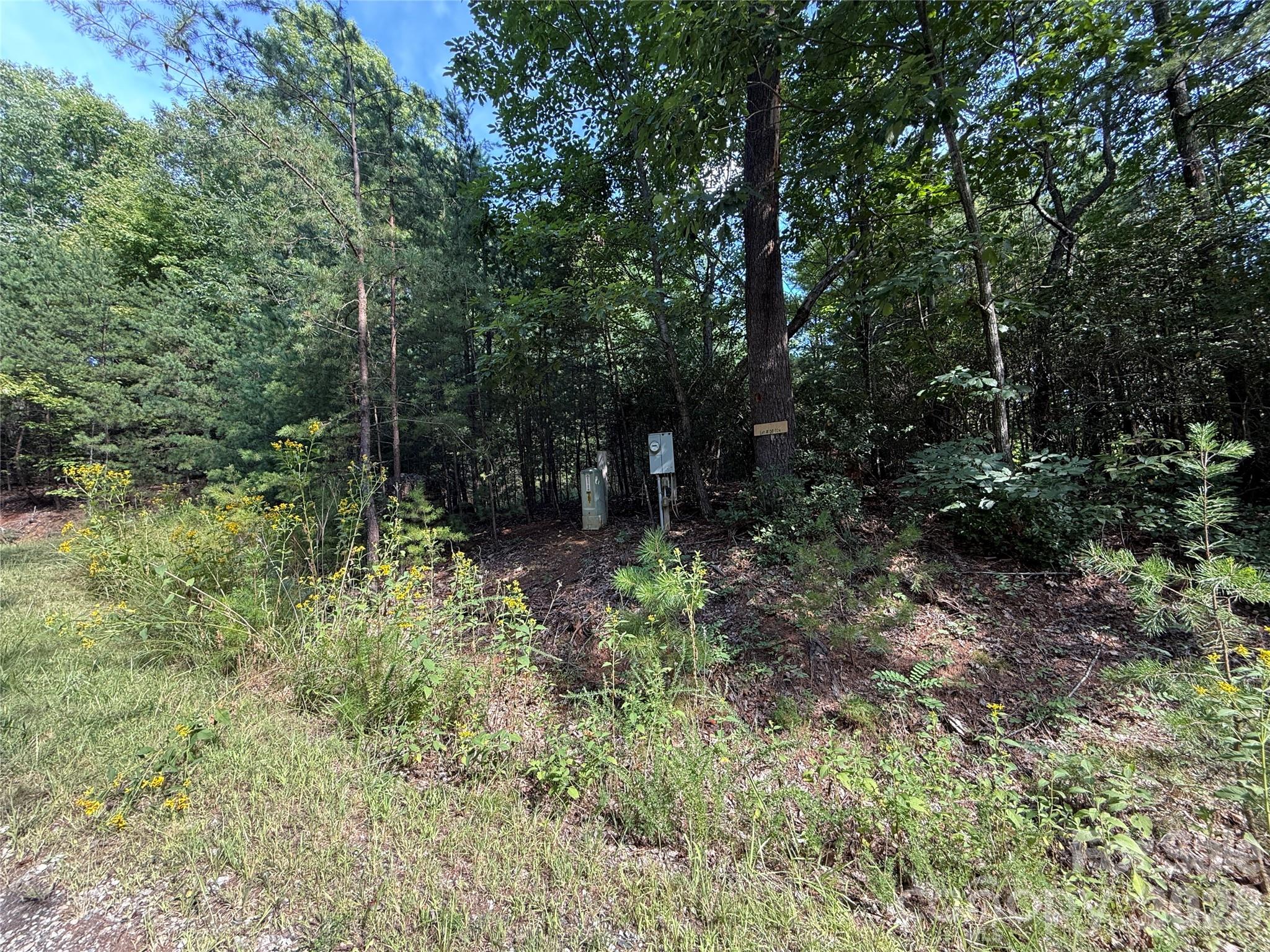 Tbd Wolf Pen Road 24 Property Photo 2